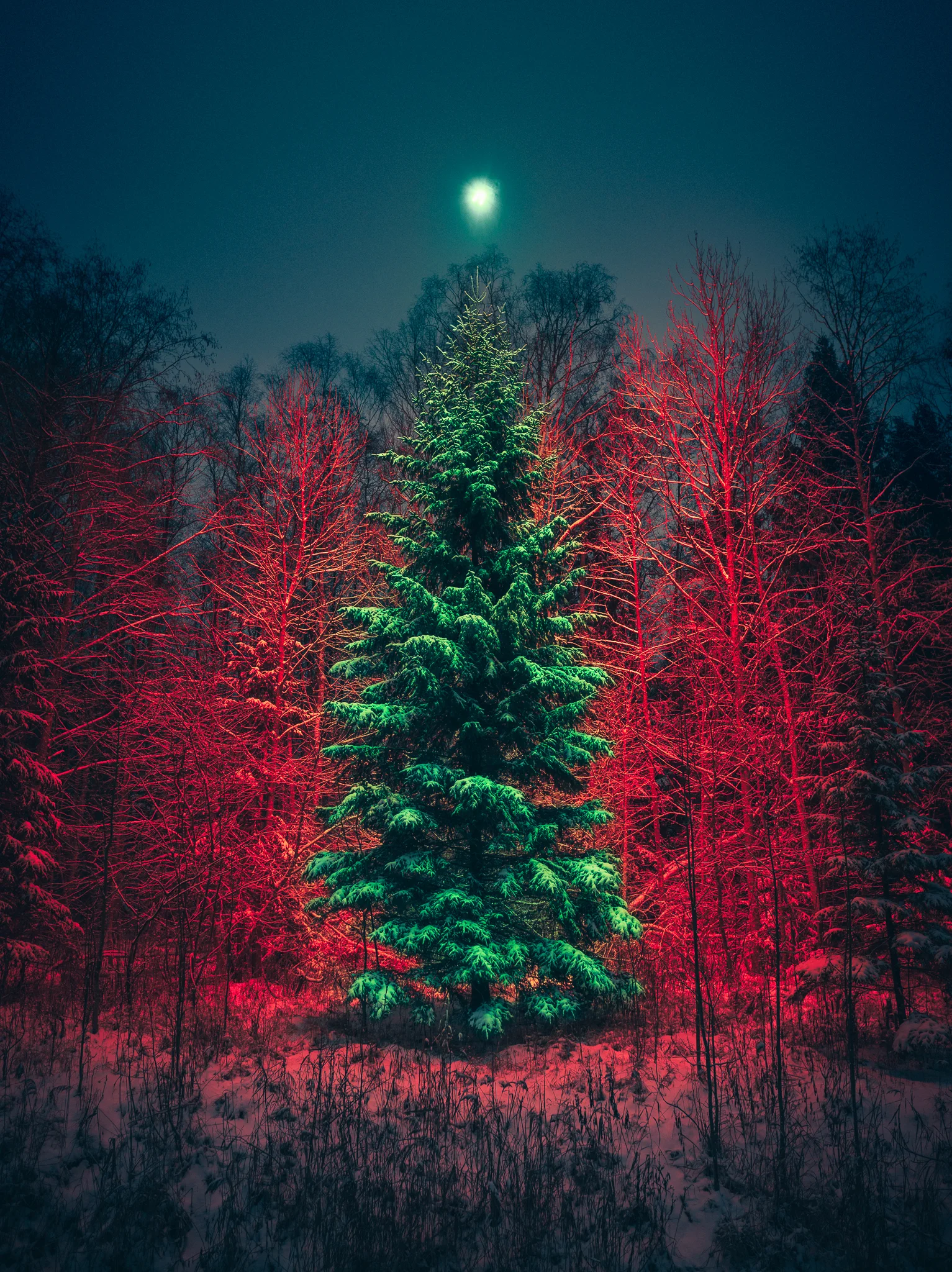 Christmas tree