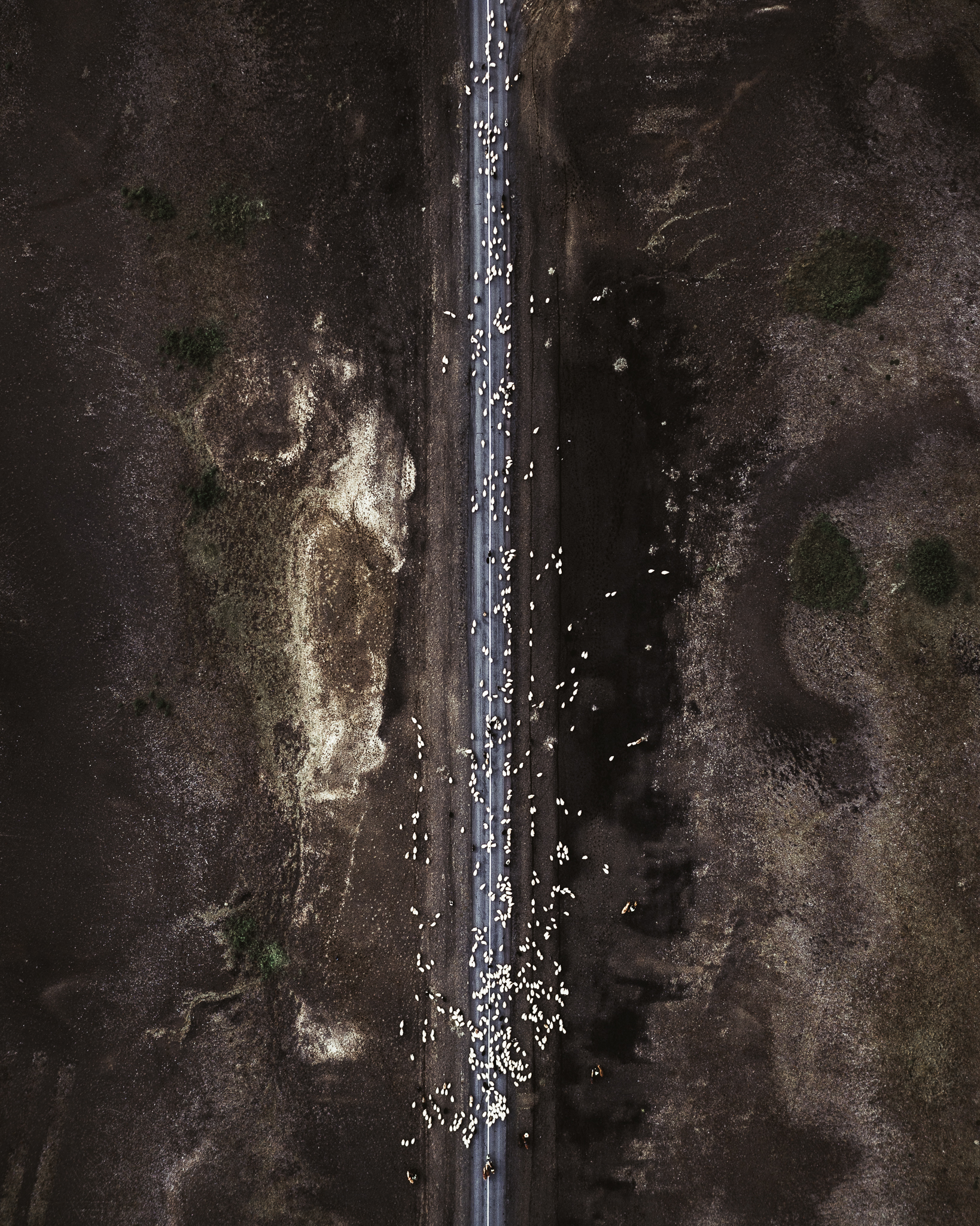 1_ICELAND_DJI_0047_FB.jpg