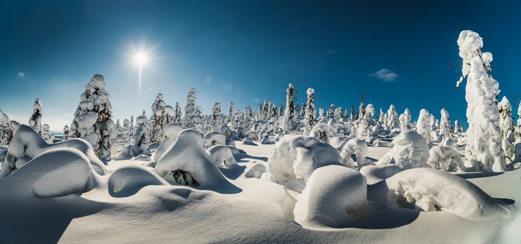 3_DSC03309-Pano_FB.jpg