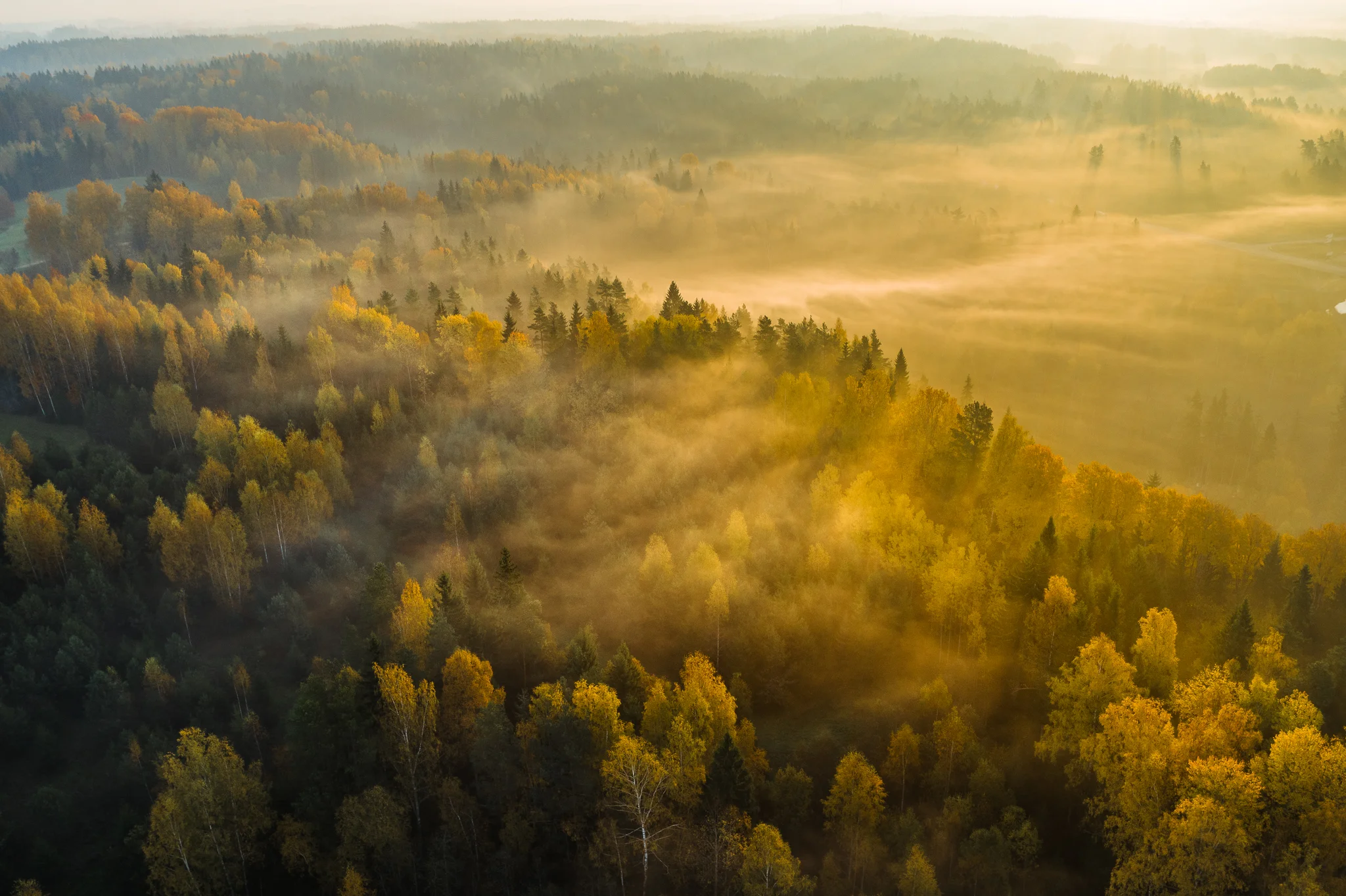 DJI_0010-HDR.jpg