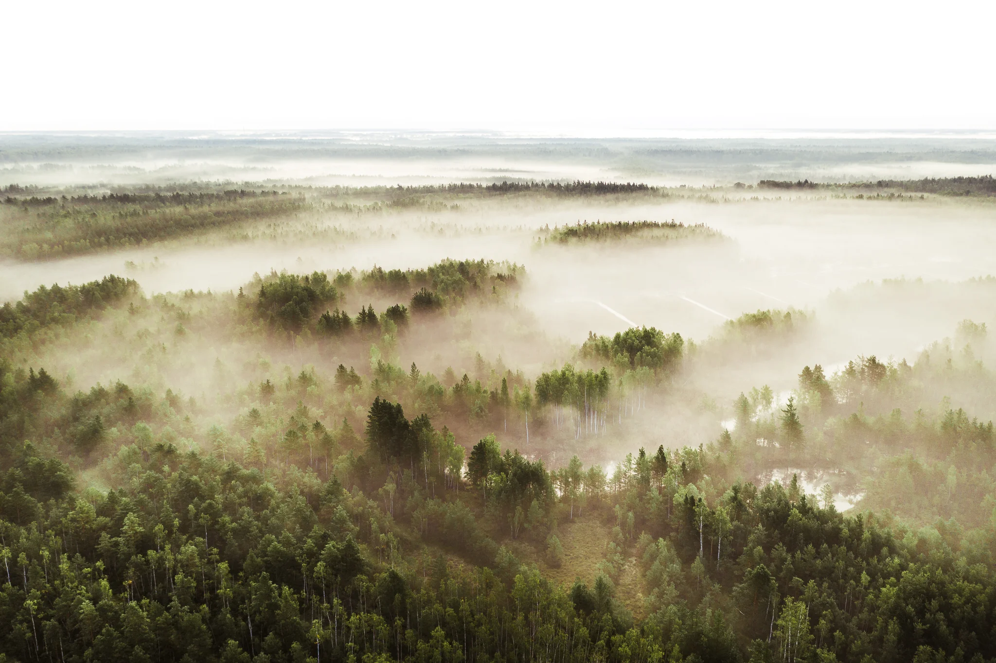 DJI_0069.jpg