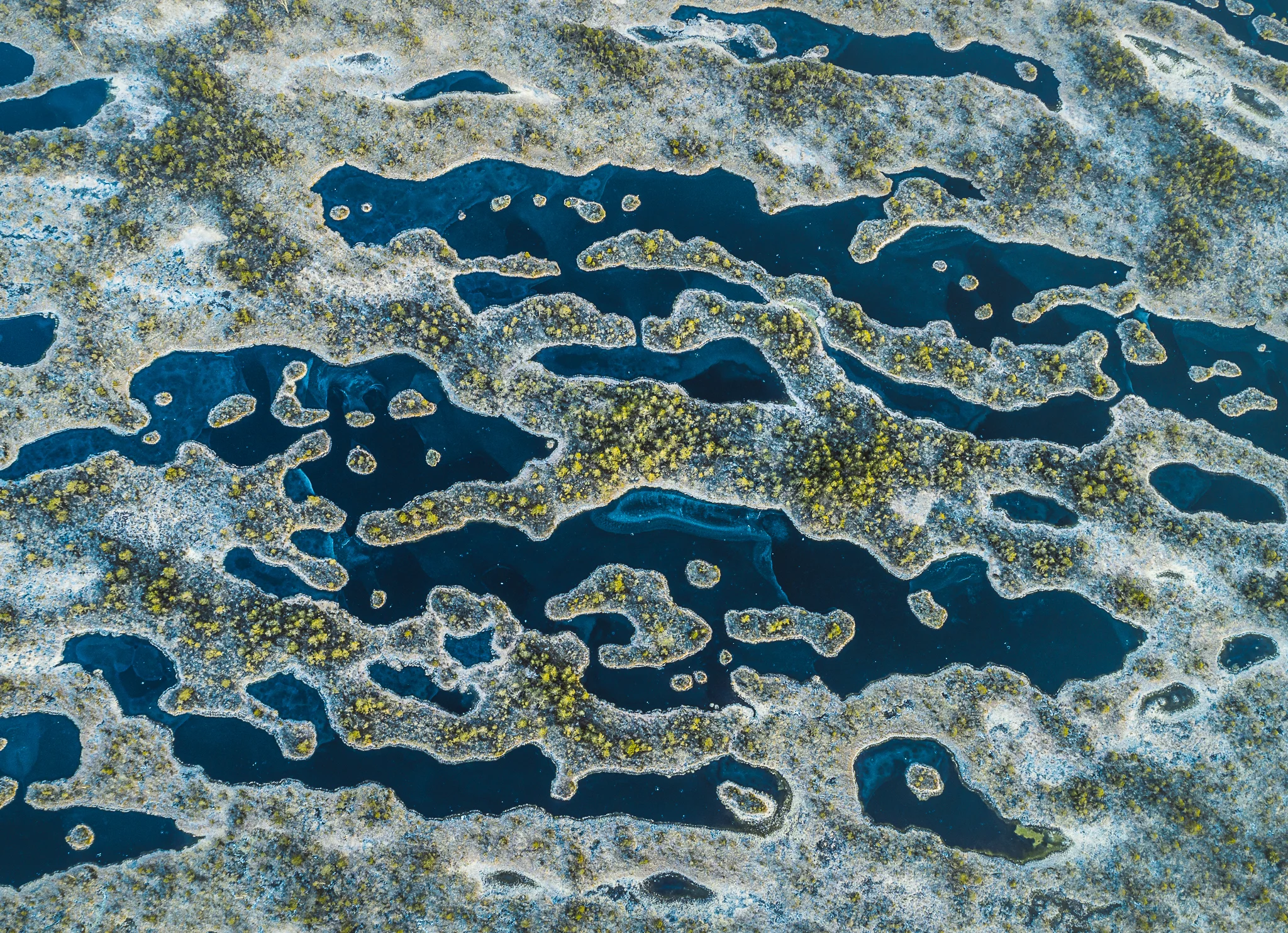 DJI_0081-Pano.jpg