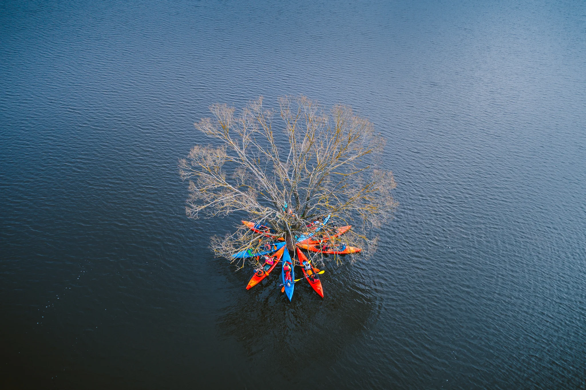 1_DJI_0020_FB.jpg