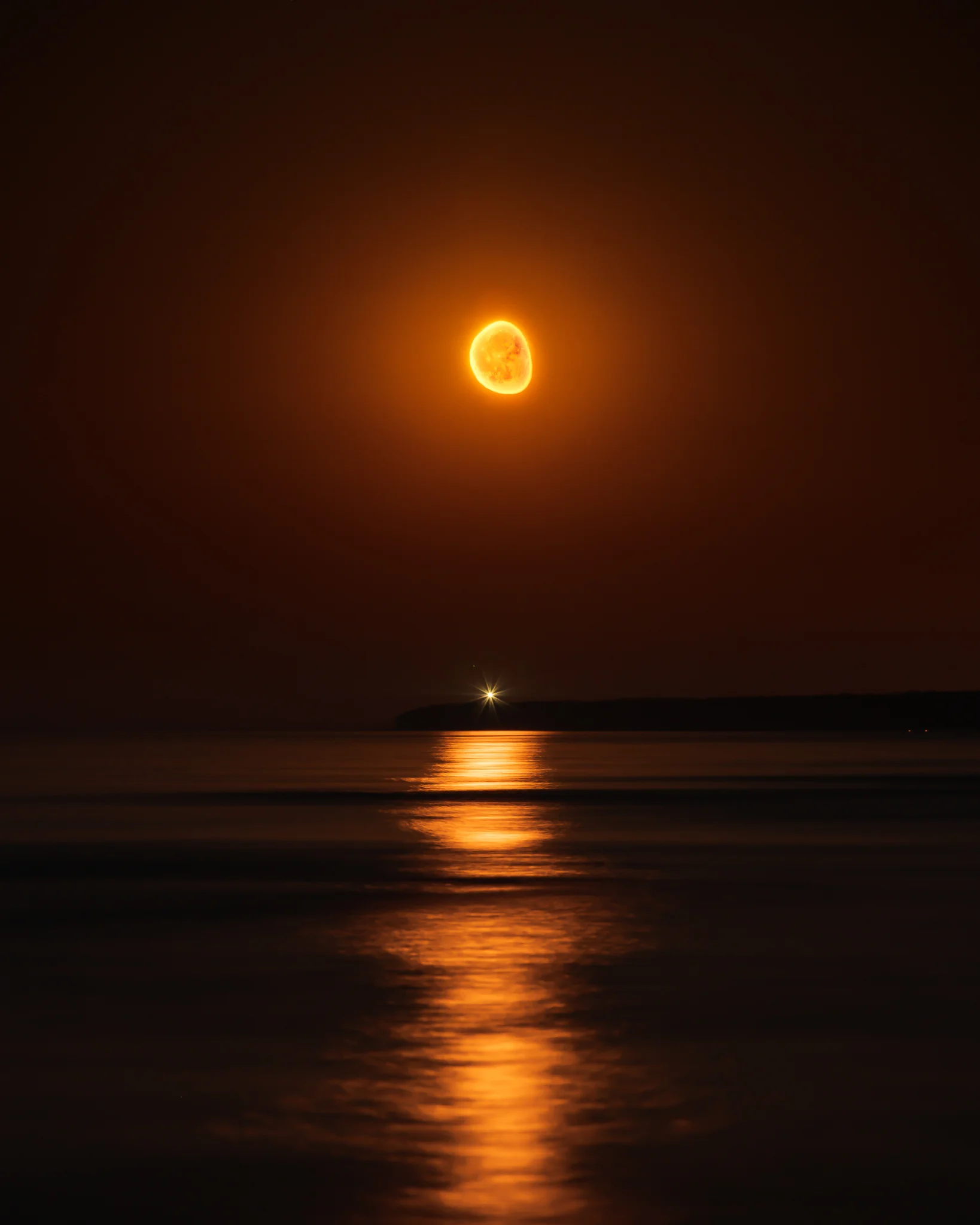 DSC02371-Edit.jpg