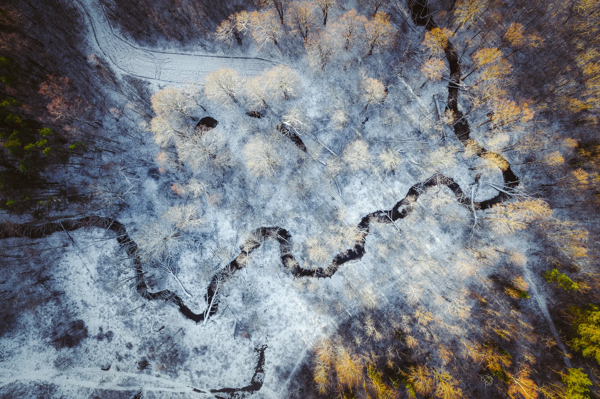 DJI_0008.jpg