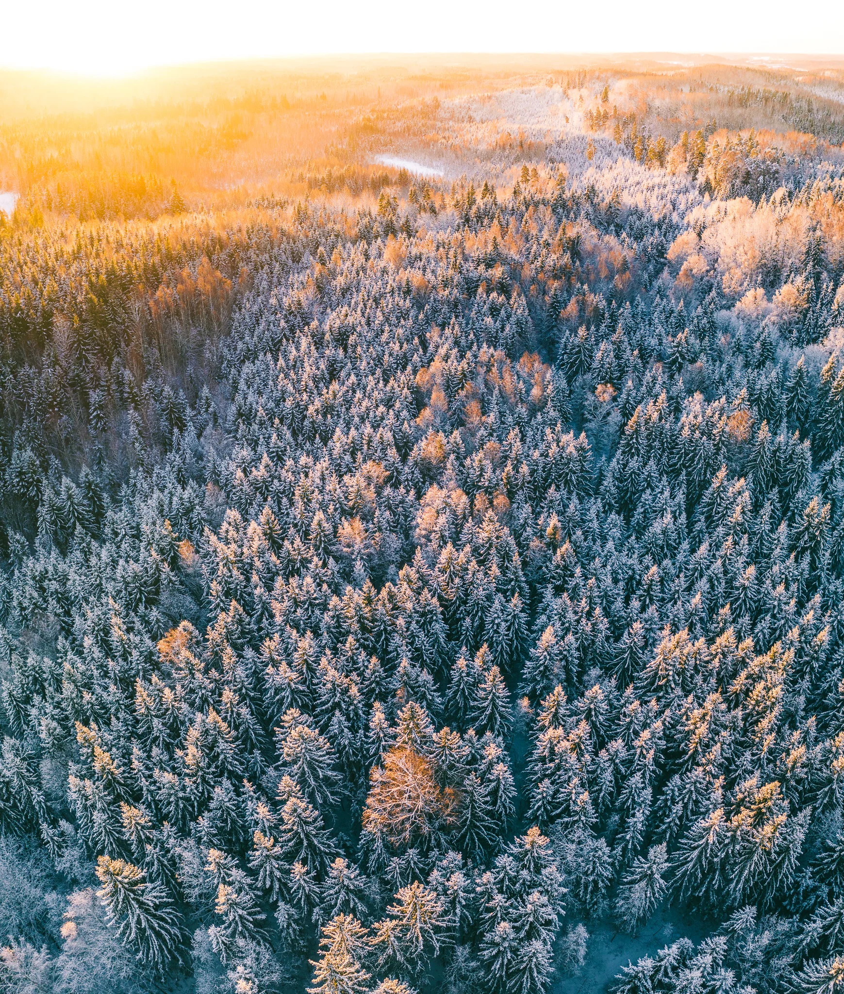 DJI_0053-Pano.jpg