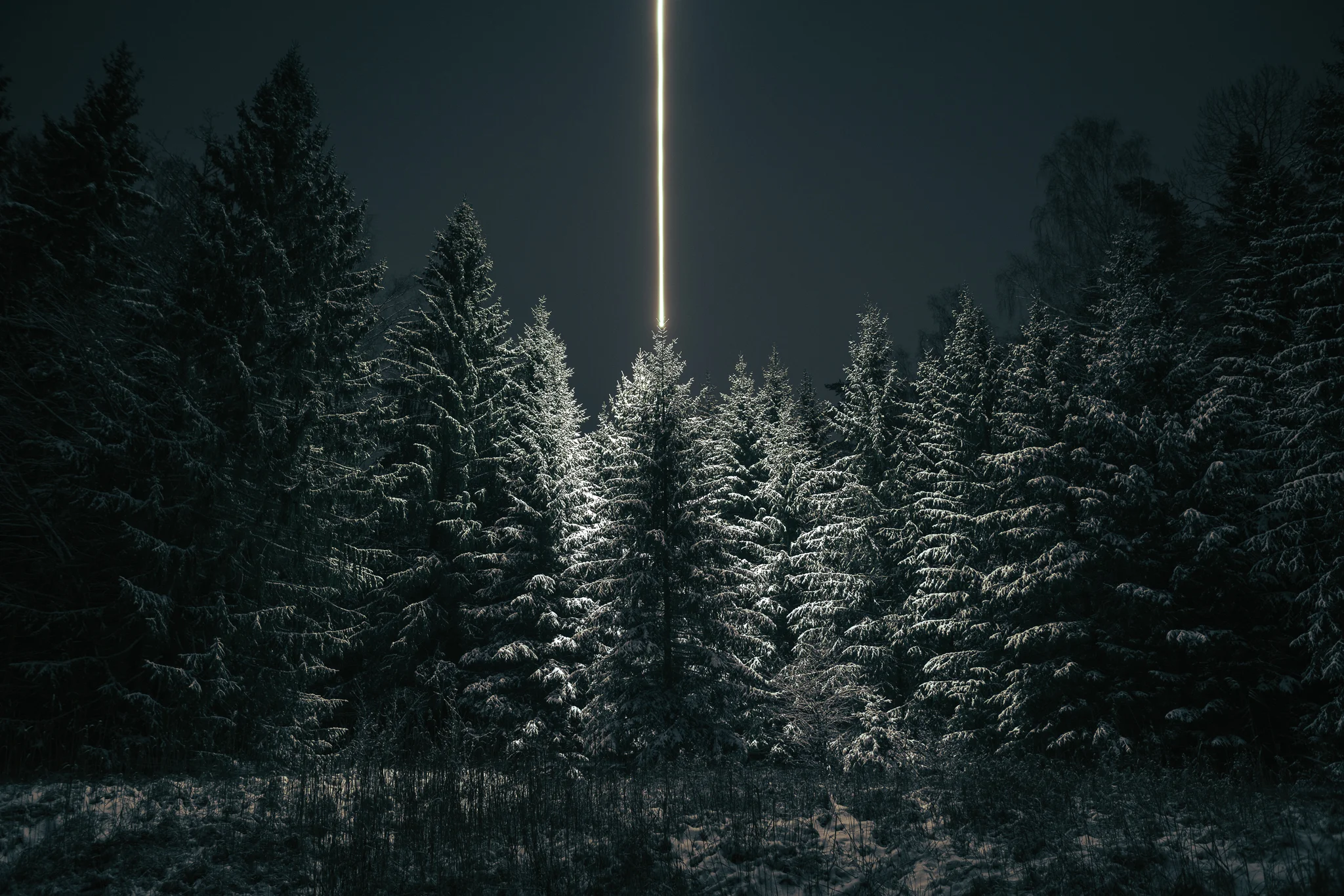 Do not go gentle into that good night