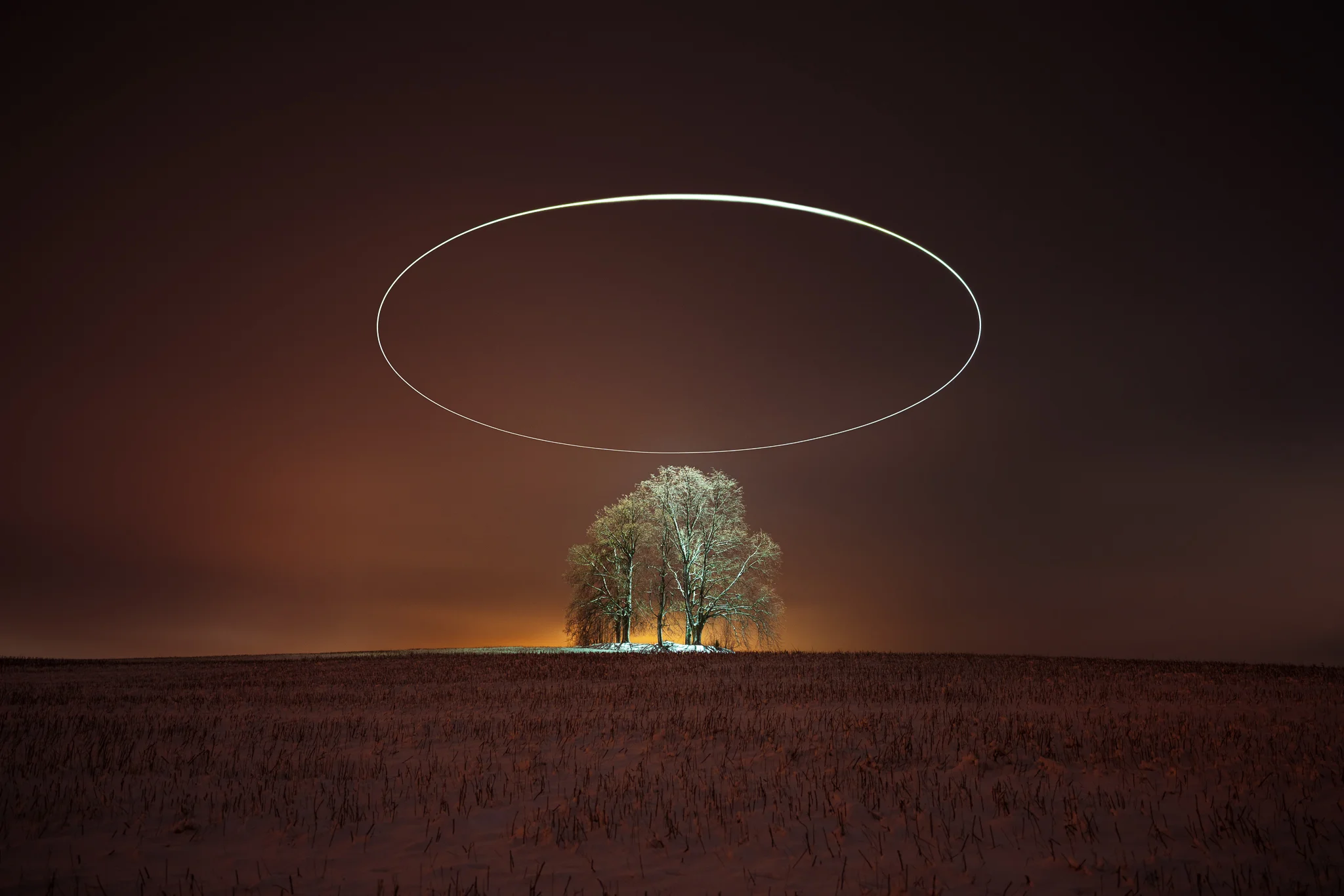 Leafless/Lifeless