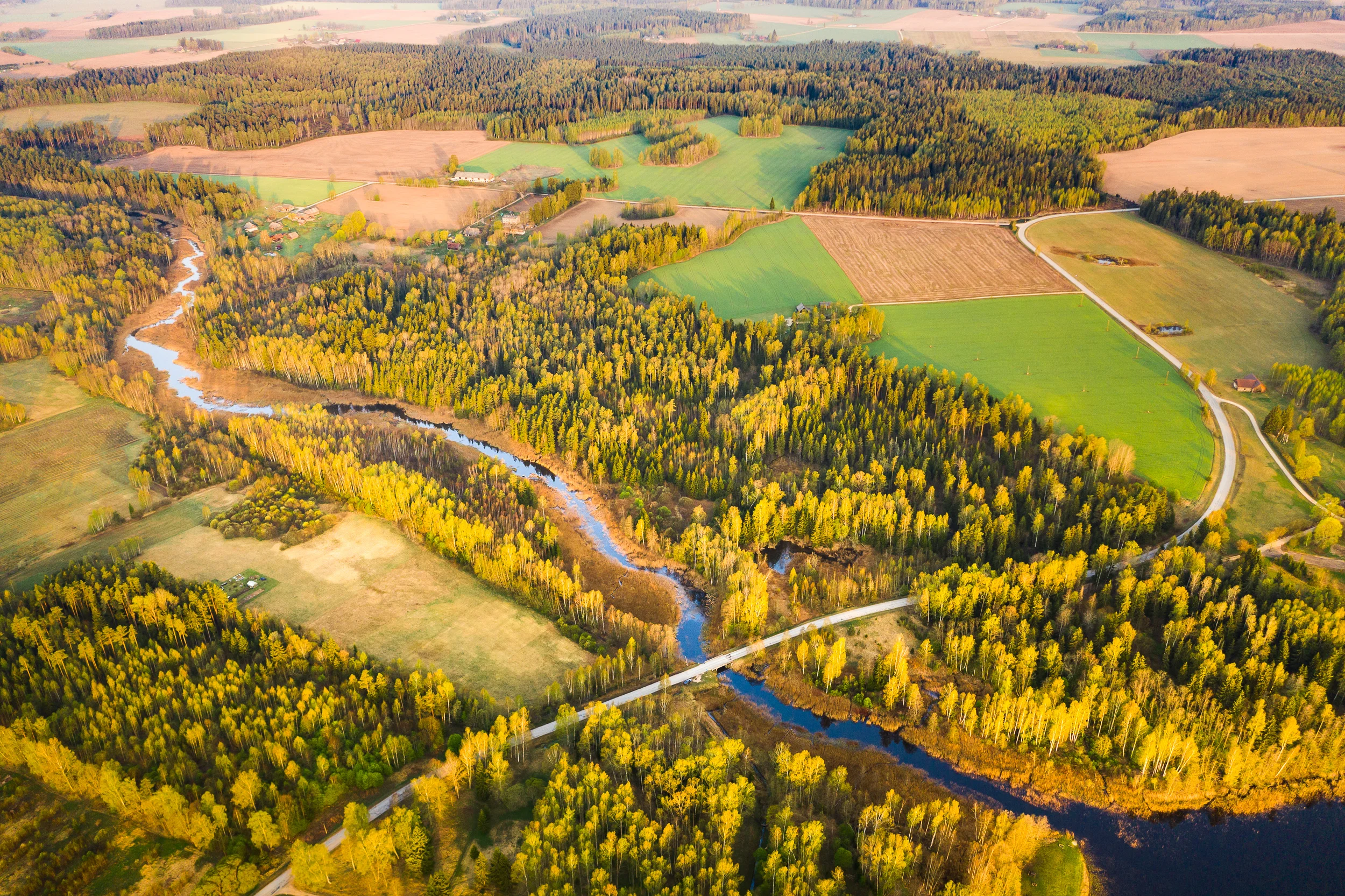 DJI_0914.jpg