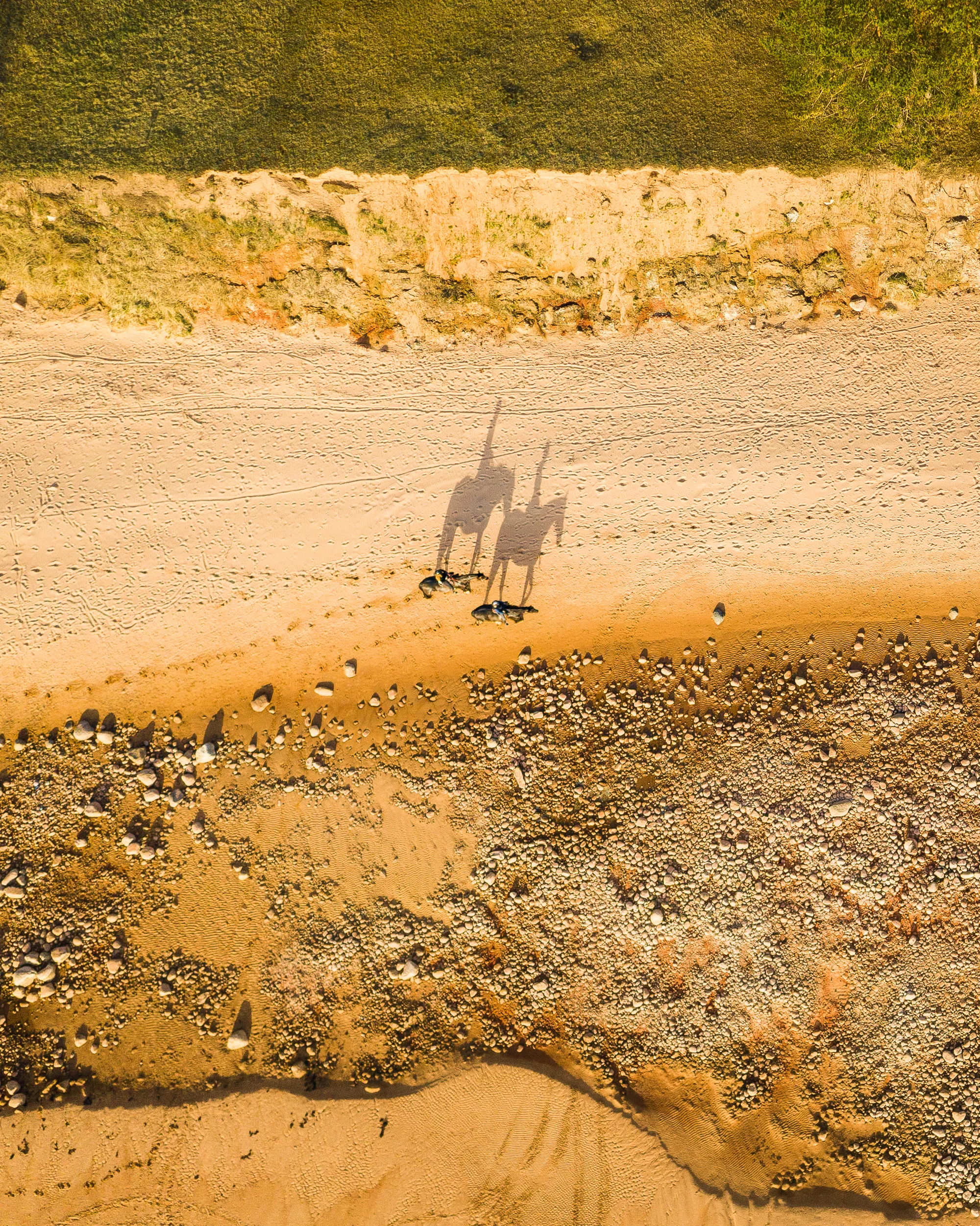 DJI_0954.jpg