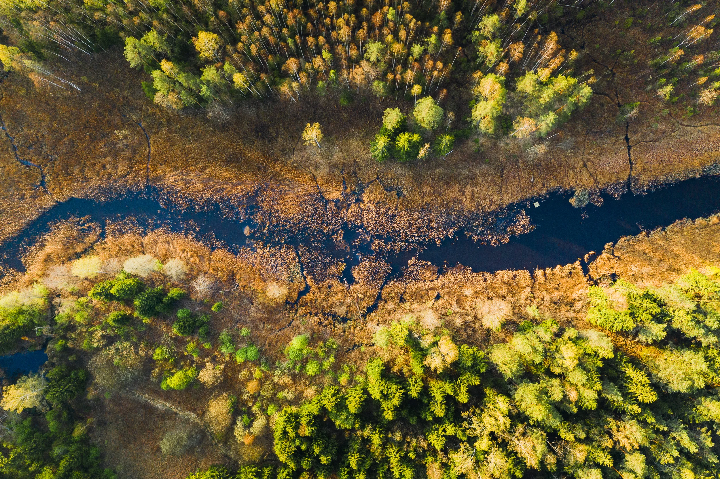 DJI_0928.jpg