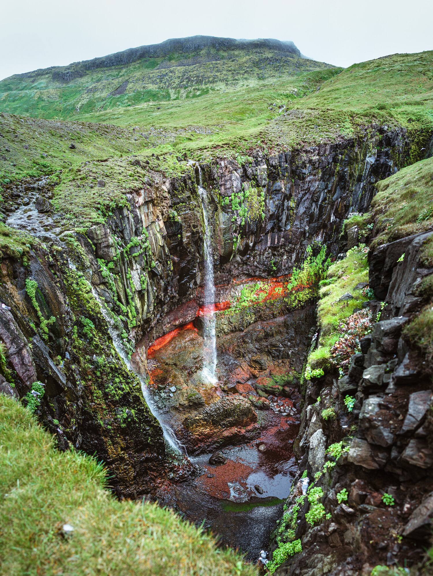 A7R05048-Pano.jpg