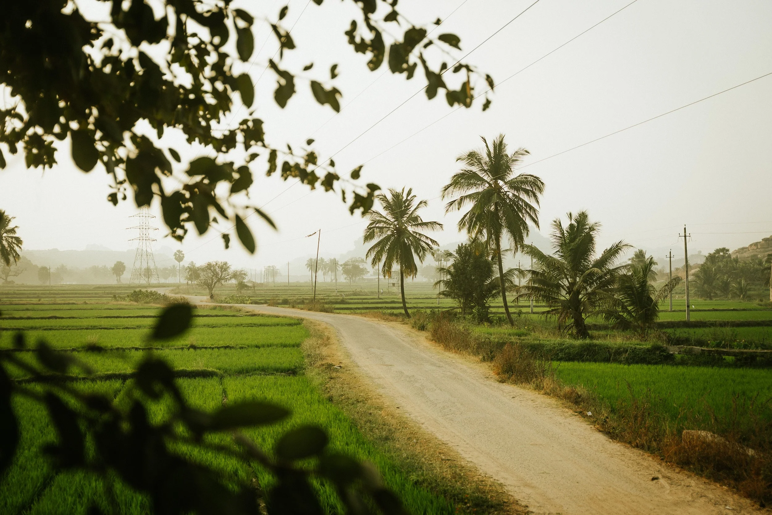 59_DSC06739.jpg