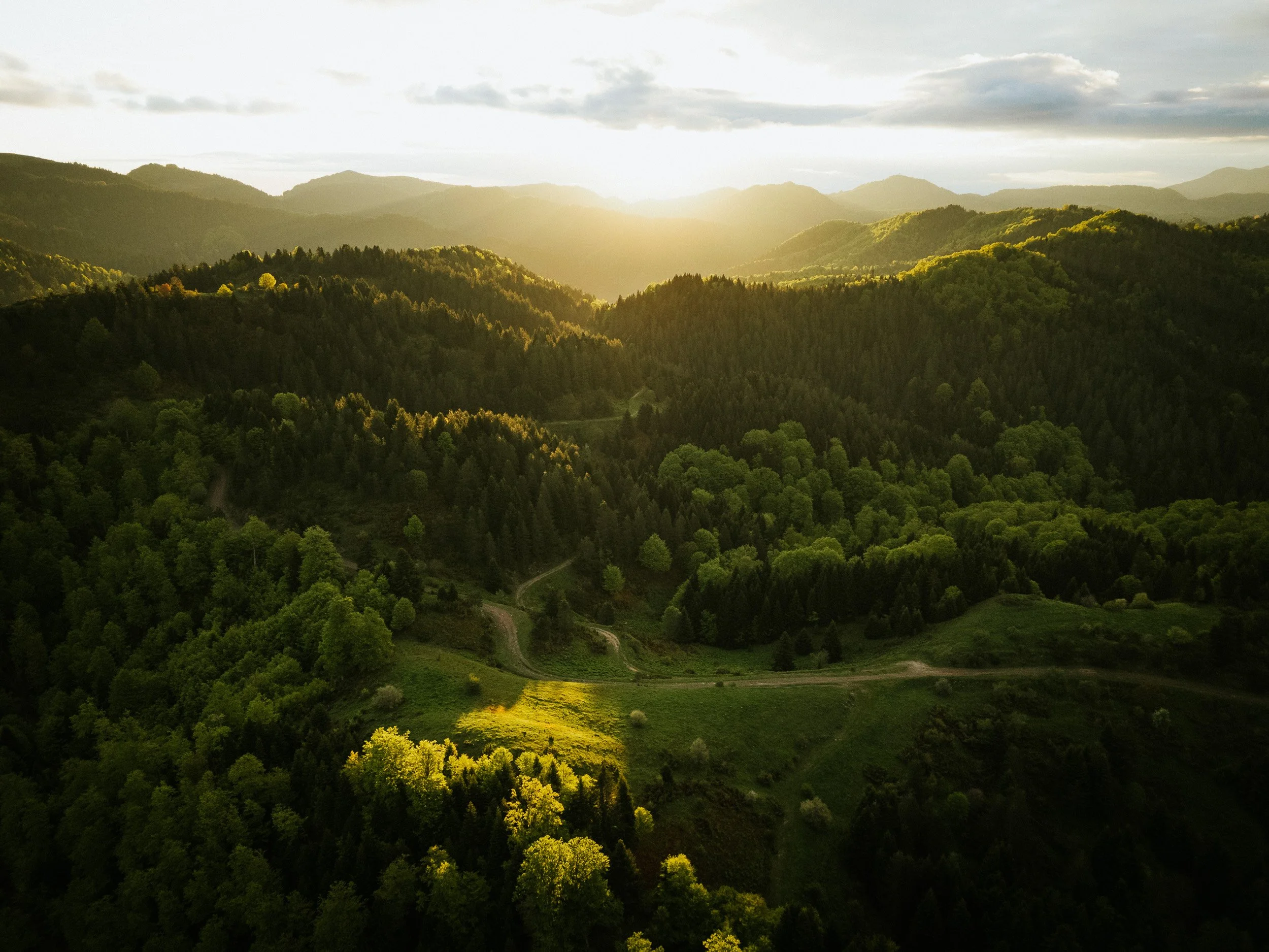 82_DJI_20250512064334_0200_D_M4.jpg