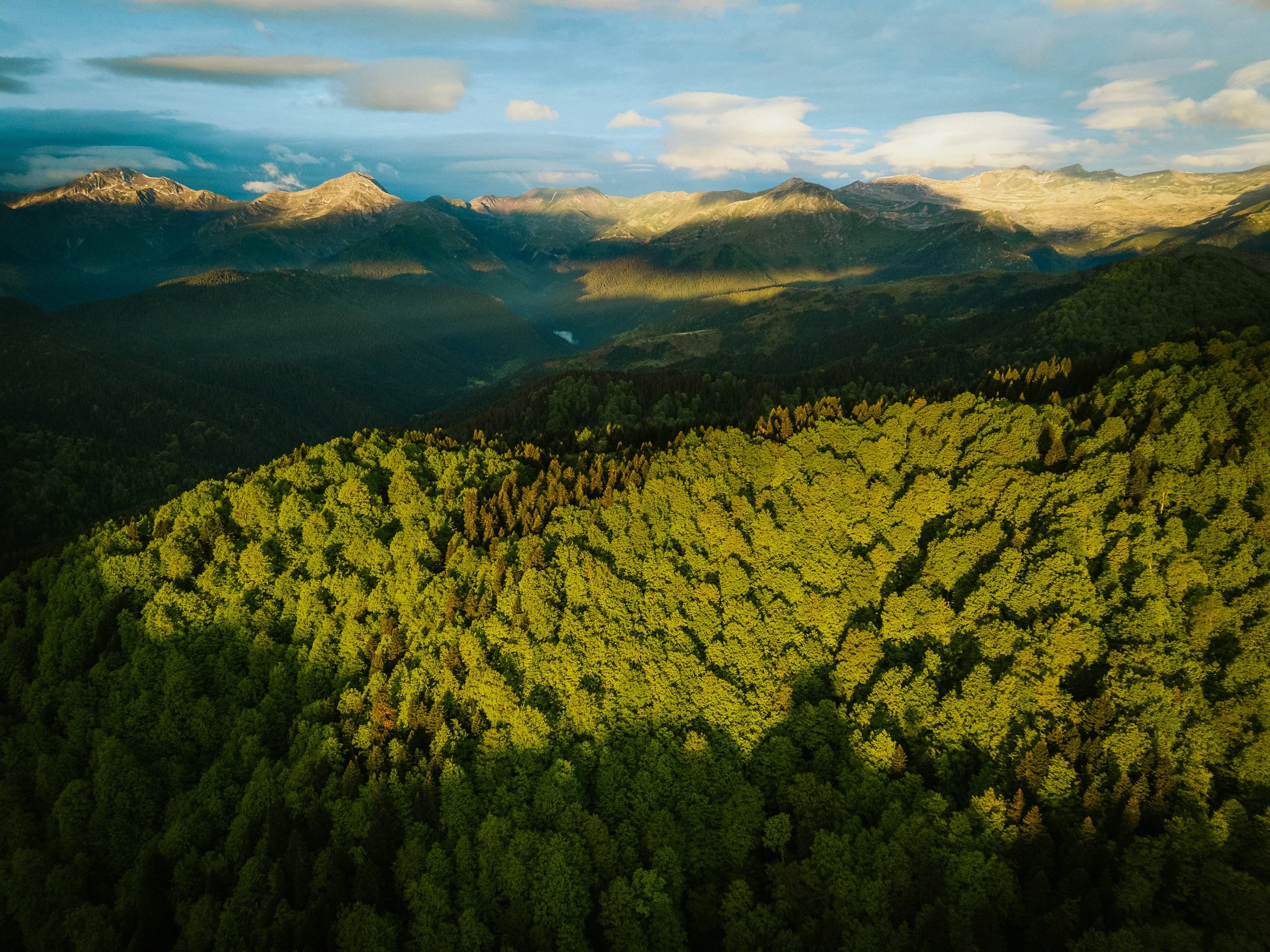 83_DJI_20250512064409_0203_D_M4.jpg