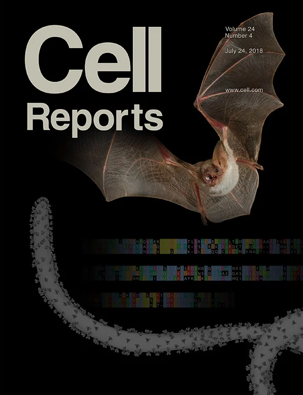 Cell_Reports_Issue24_Vol4.jpg