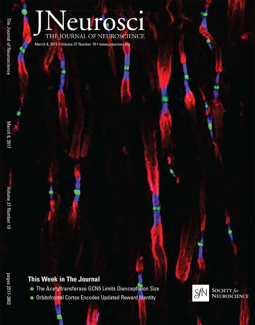 Journal_Neuroscience_Issue37_Vol10.jpg