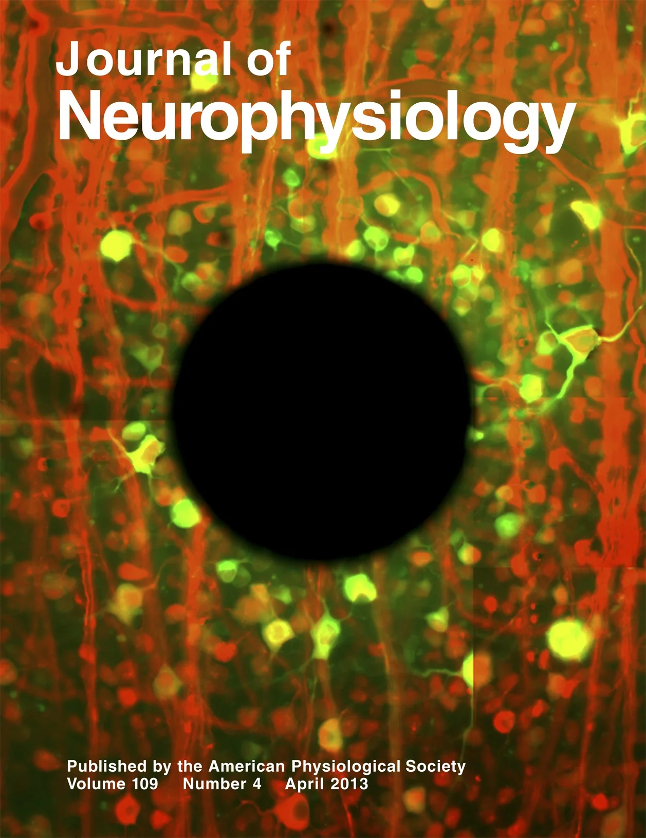 Journal_of_Neurophysiology_109_8.jpg