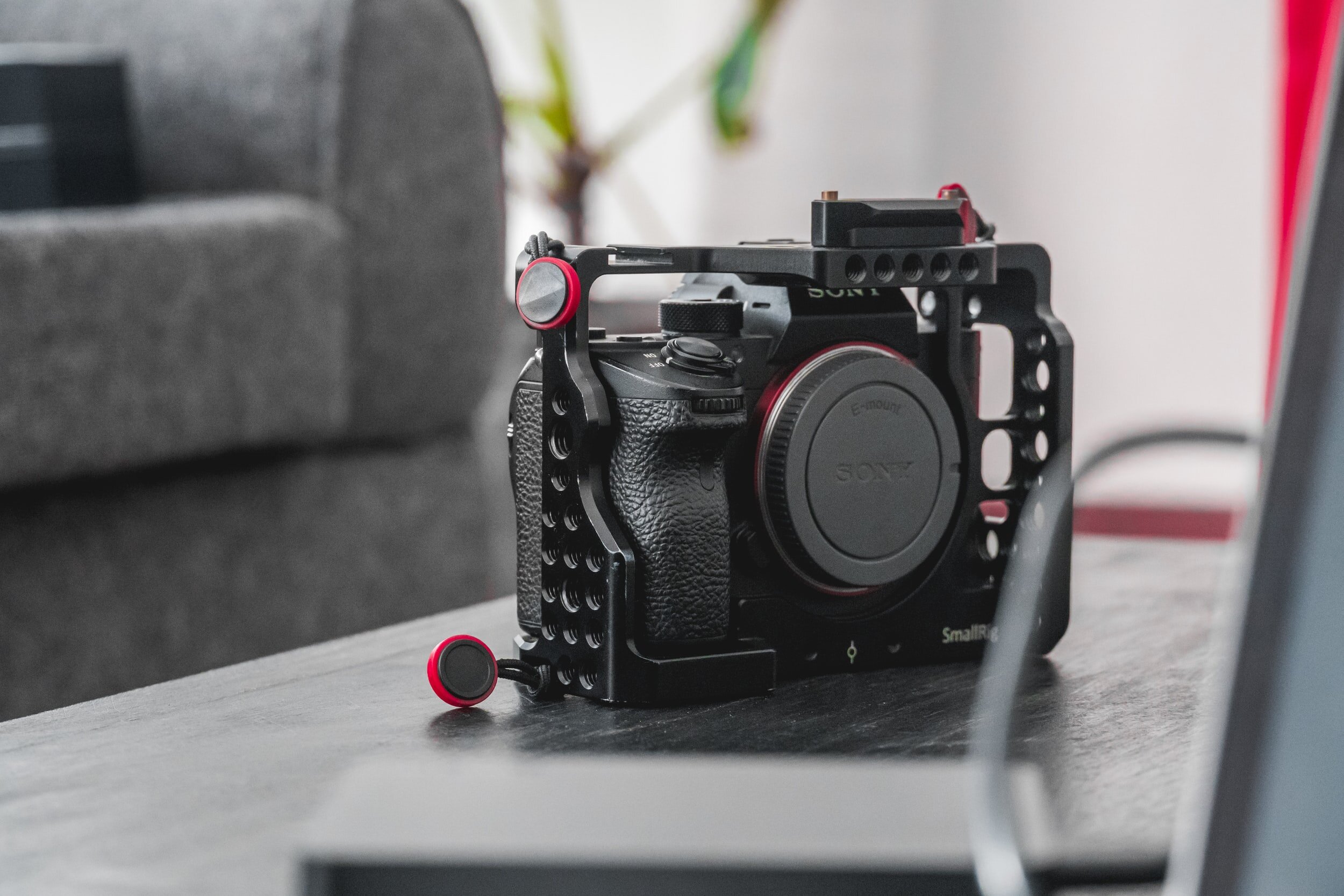 Vestire la fotocamera: il cage