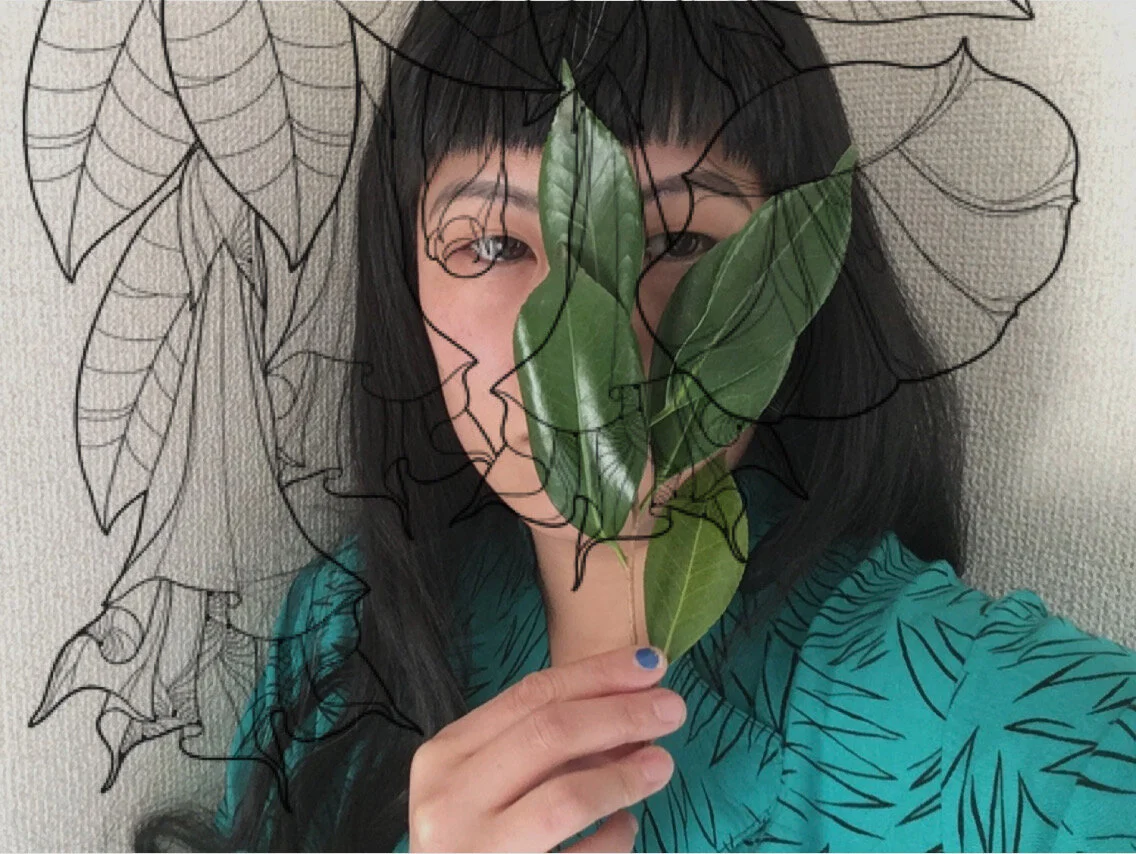 05 Nightshade Sweets.JPG