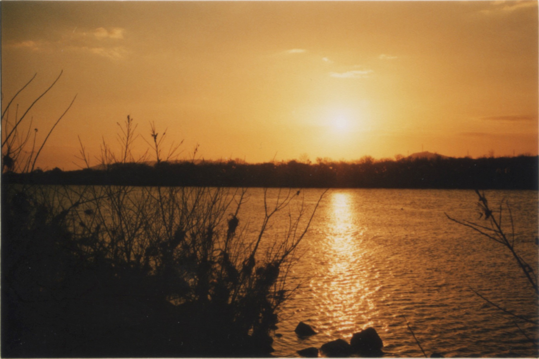 Yoshinogawa