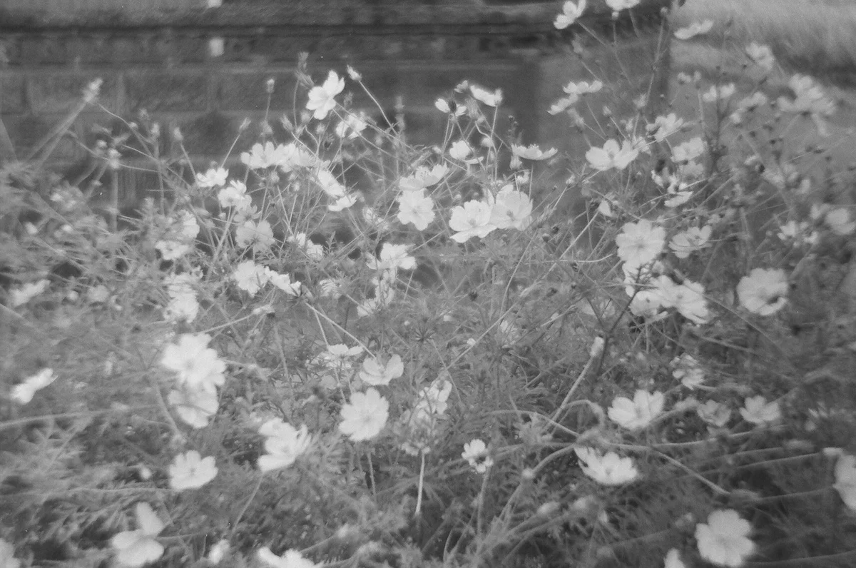  Tokushima, Yoshinogawa 