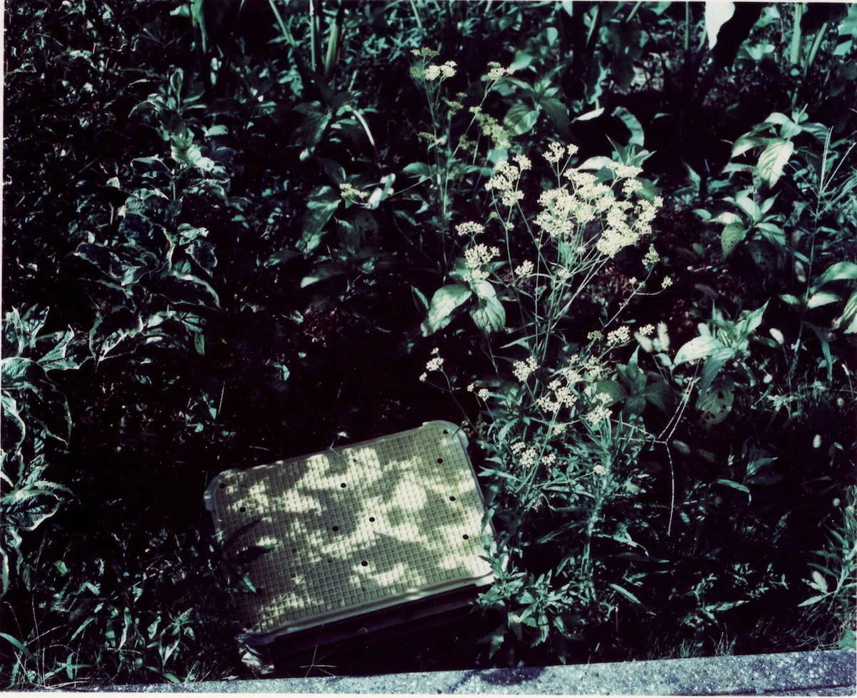  Tokushima, Garden  crossprocessing 