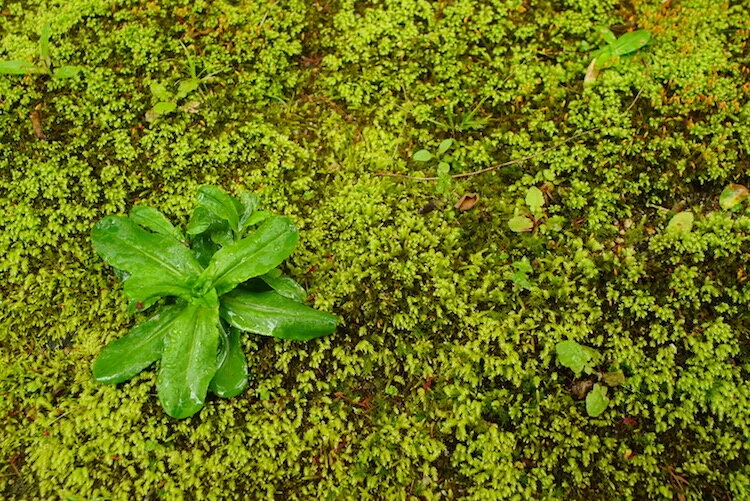 Photo 2020-04-20 9 33 35750.jpg