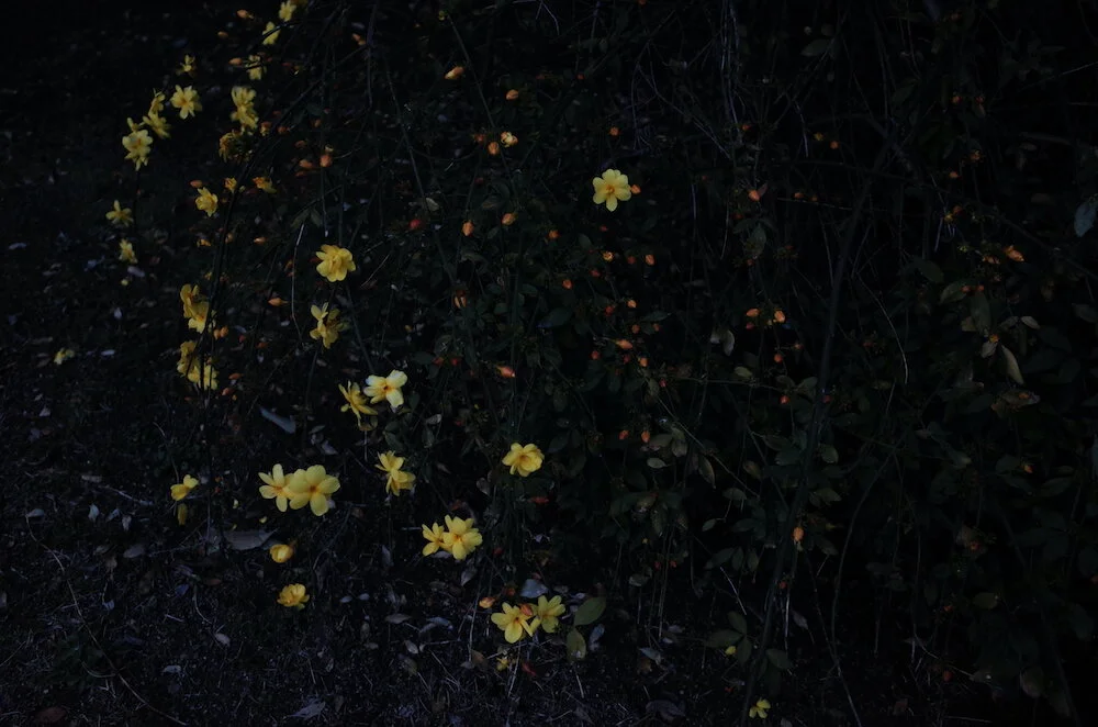 Photo 2021-03-14 18 11 27 1000.jpeg