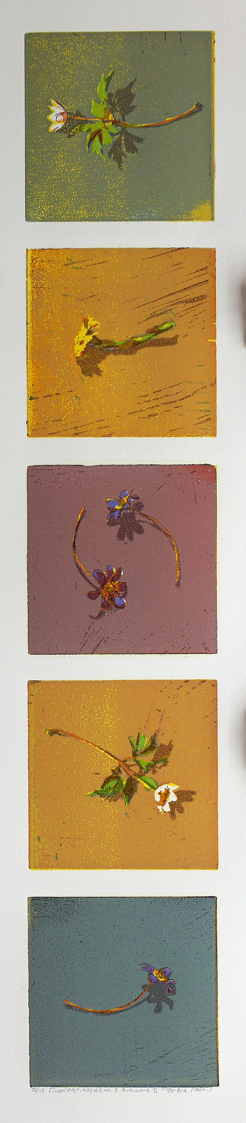 Tussilago,+Hepatica+&+Anemone+II.jpg