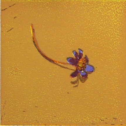 Tussilago%2C%2BHepatica%2B%26%2BAnemone%2BIII.jpg