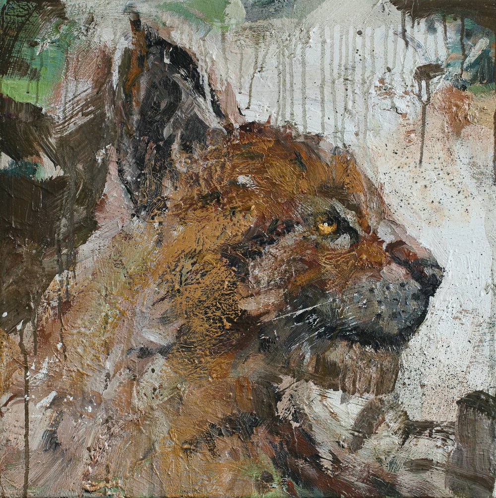 LYNX LYNX_W.jpg