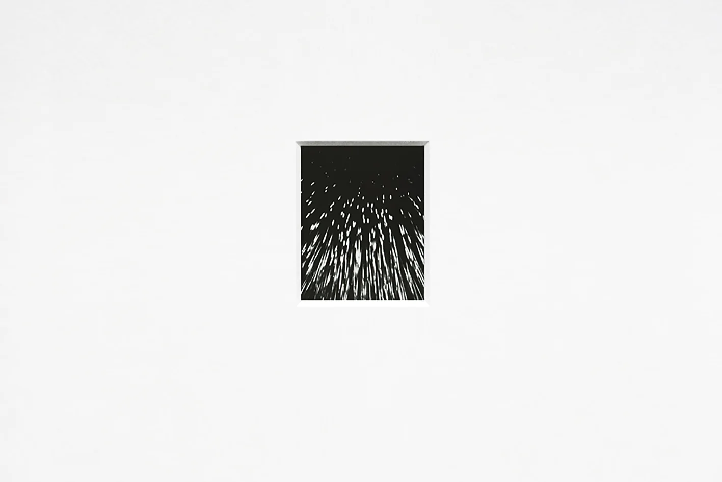 Specious-Species No.1 Pinhole print. 2018