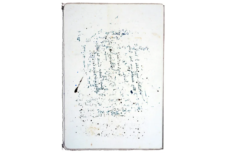 Language Without Words 2016 Ink, blotting paper 27 x 18 cm