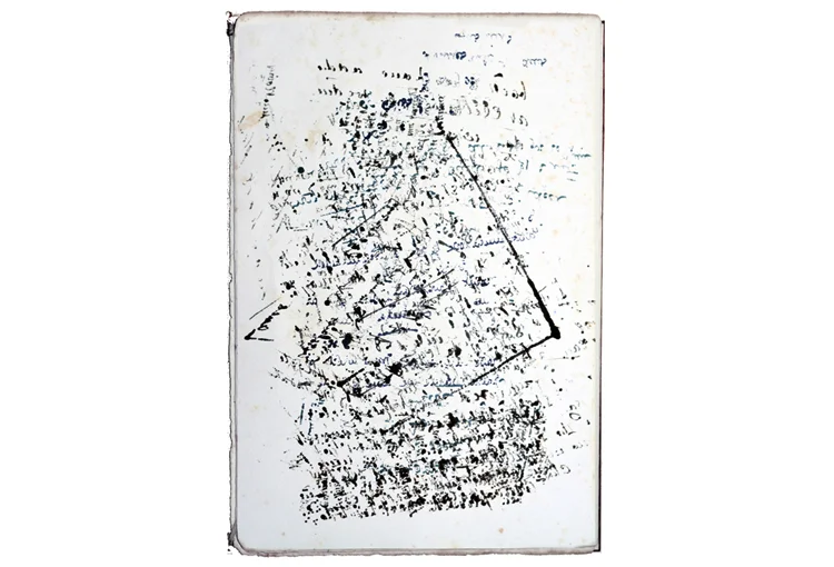 Language Without Words 2016 Ink, blotting paper 27 x 18 cm