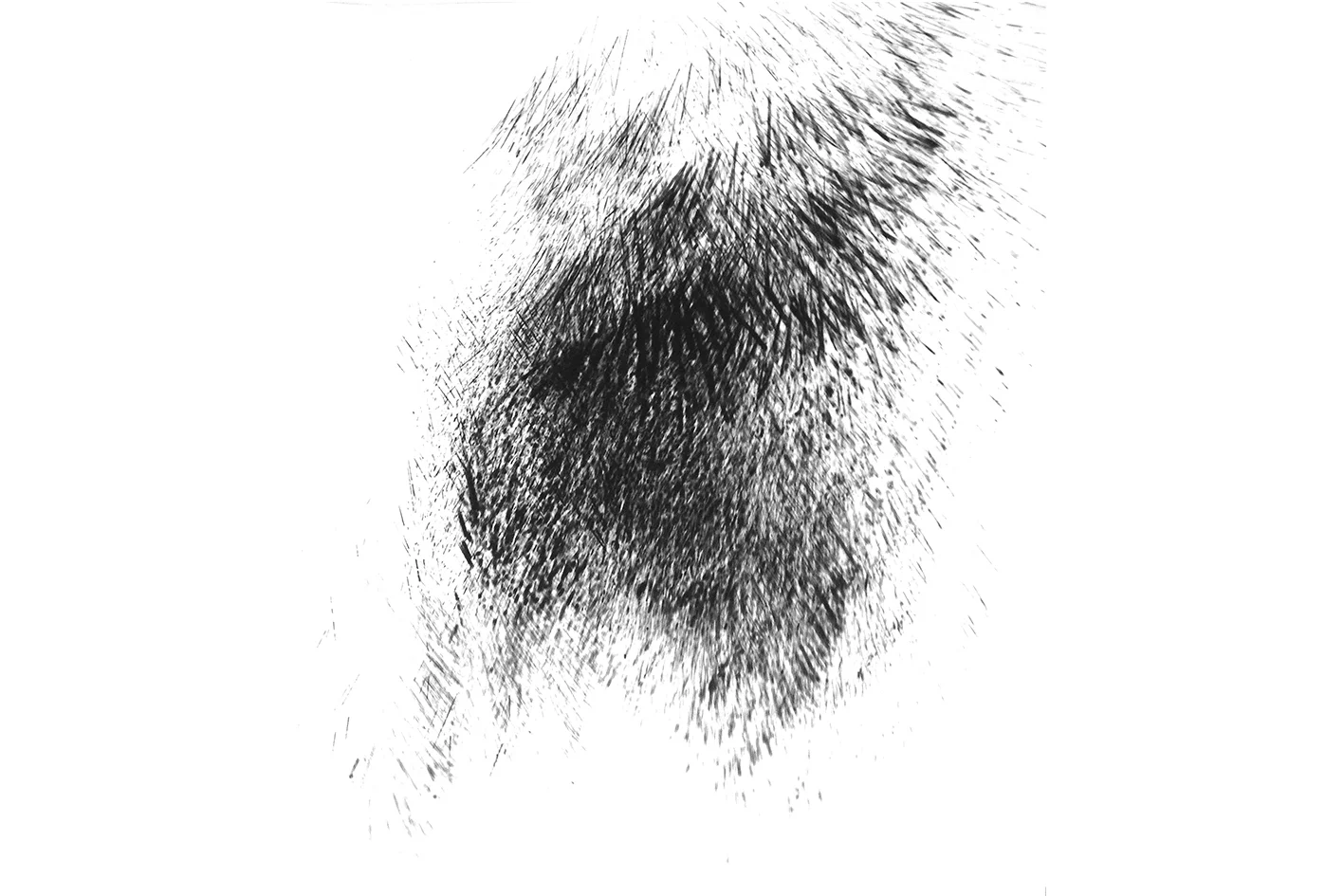 species-specious.jpg
