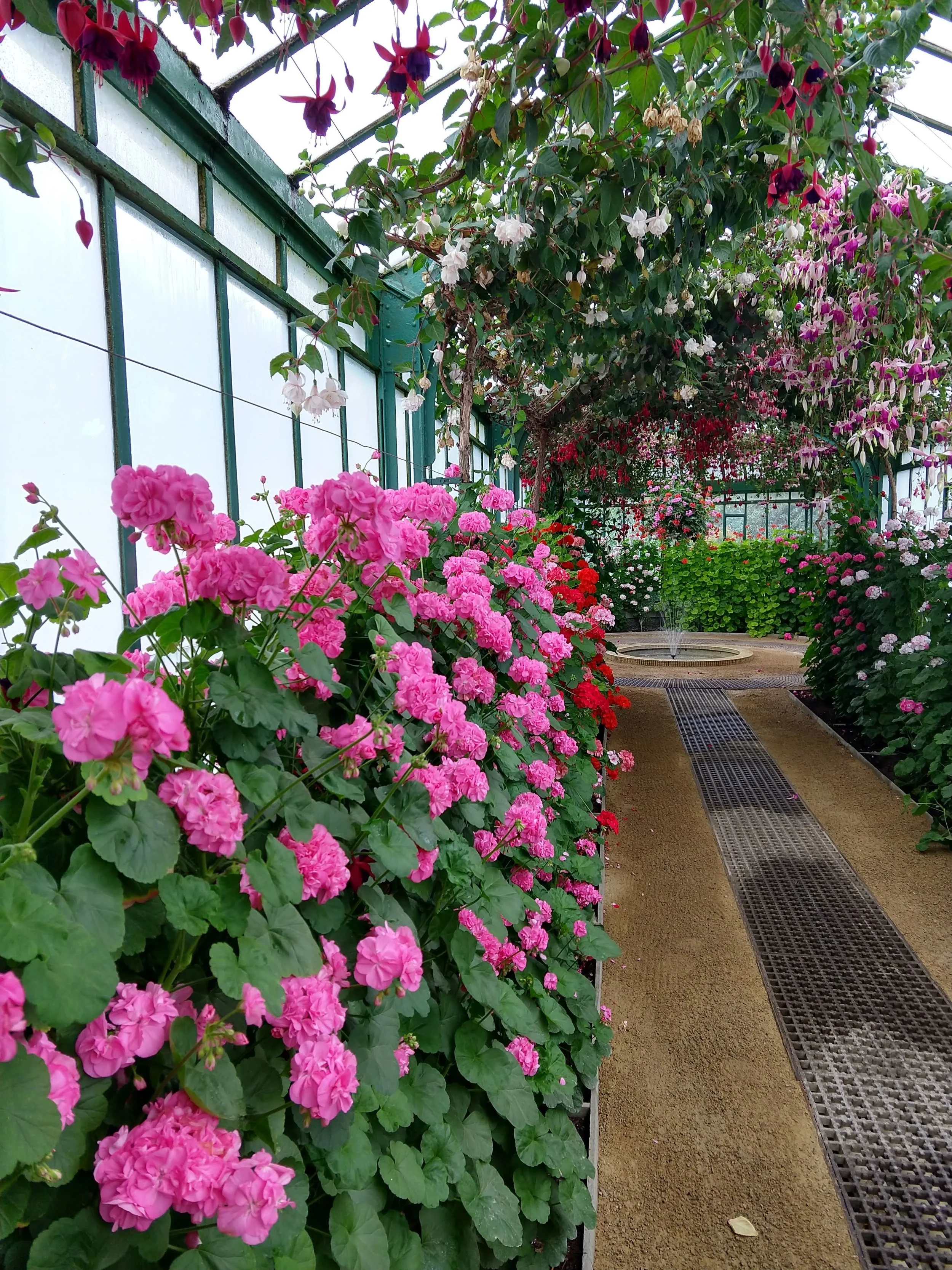 IMG_20190508_113628416_HDR.jpg