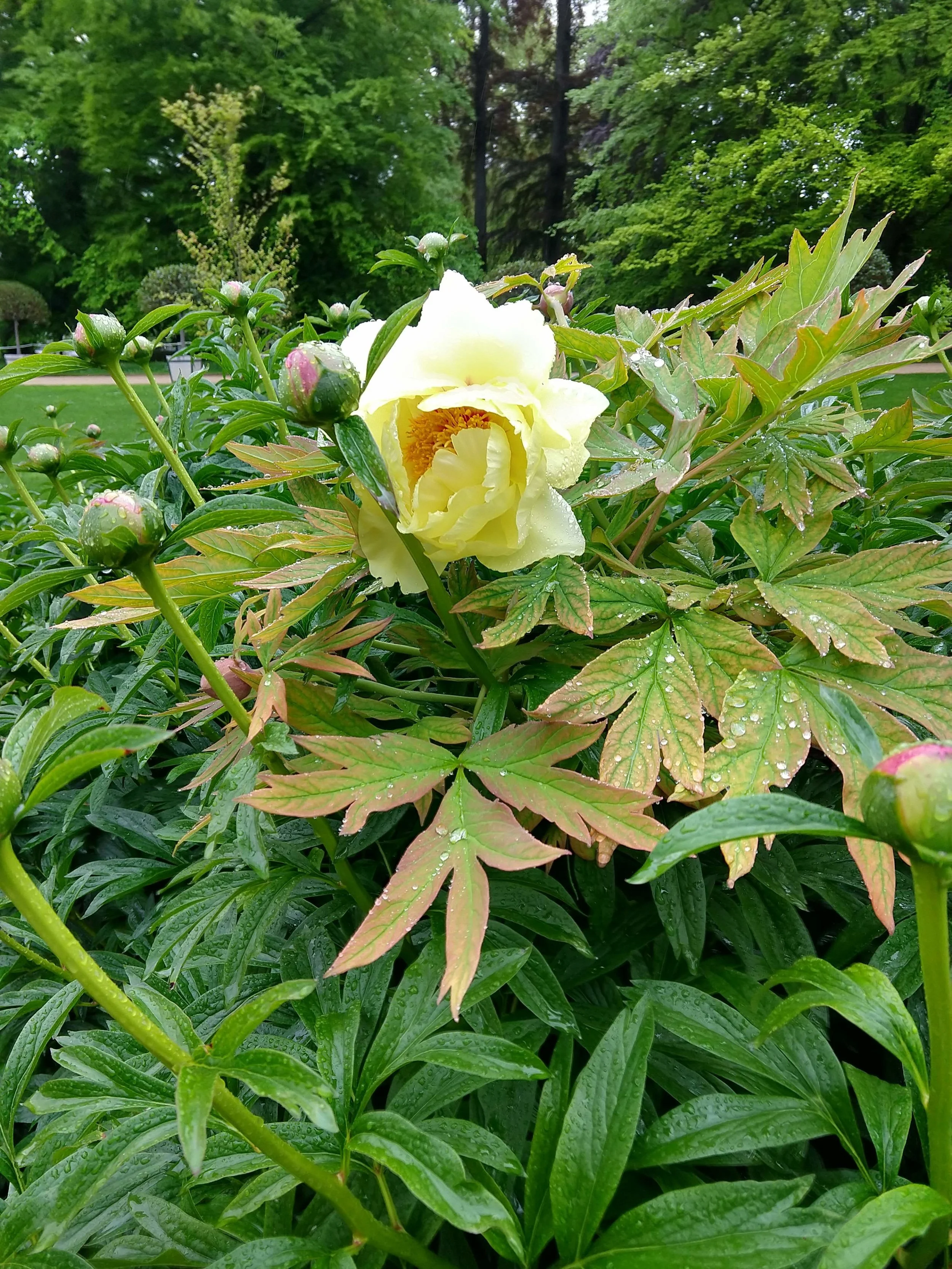IMG_20190508_124053766_HDR.jpg