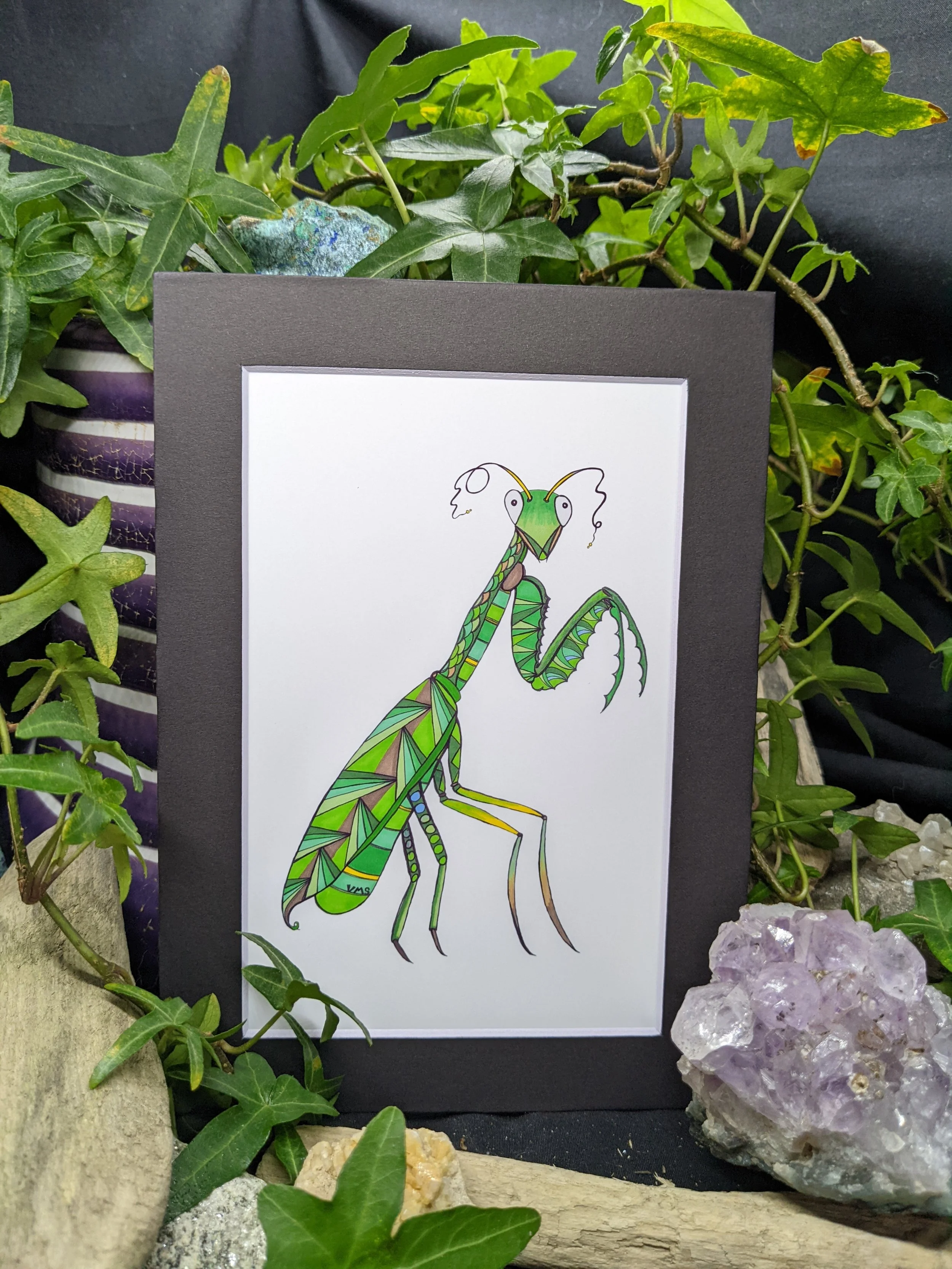 Avel the Patient Praying Mantis