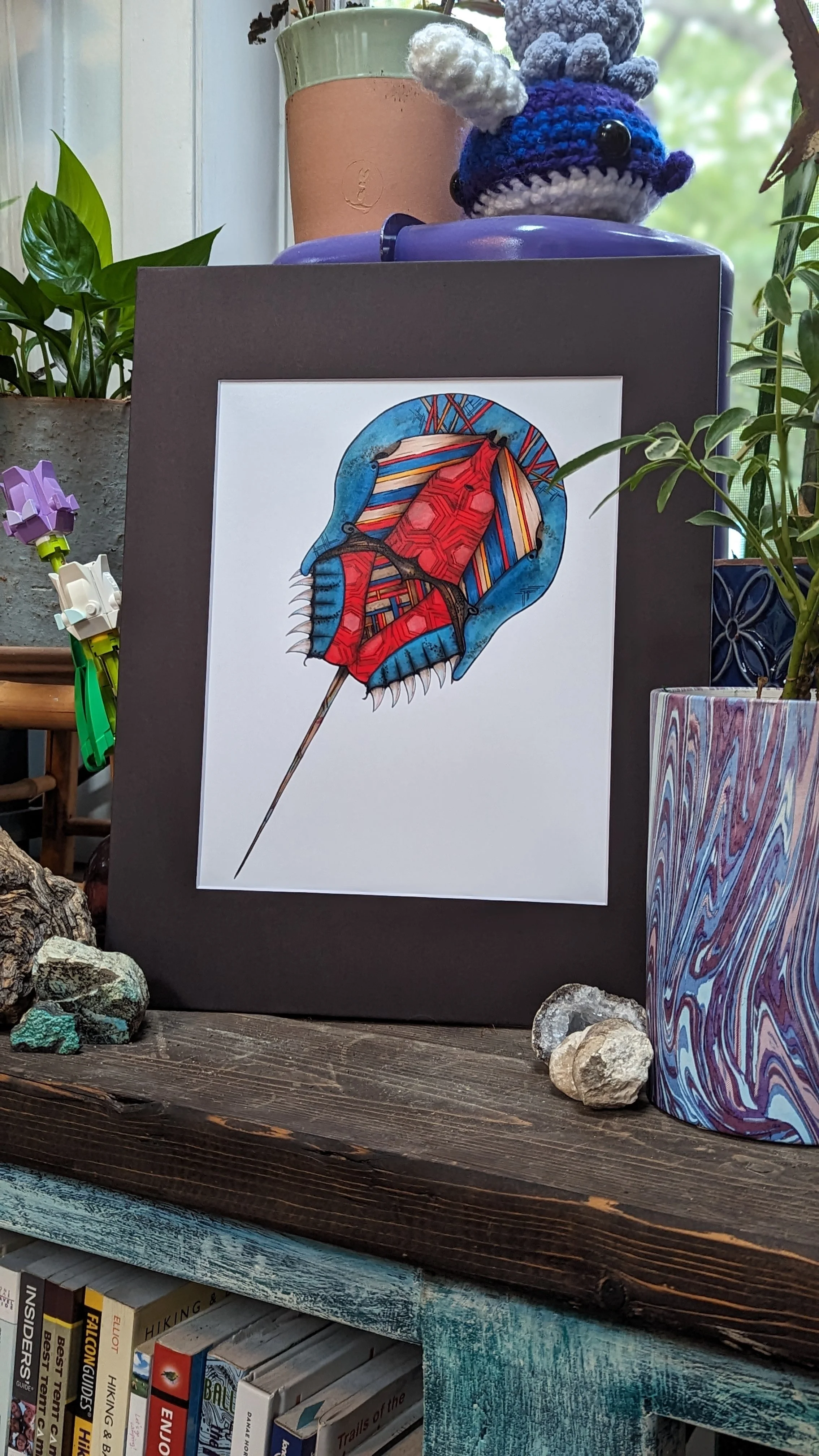 horseshoecrab murphy 8x10 (2).jpg