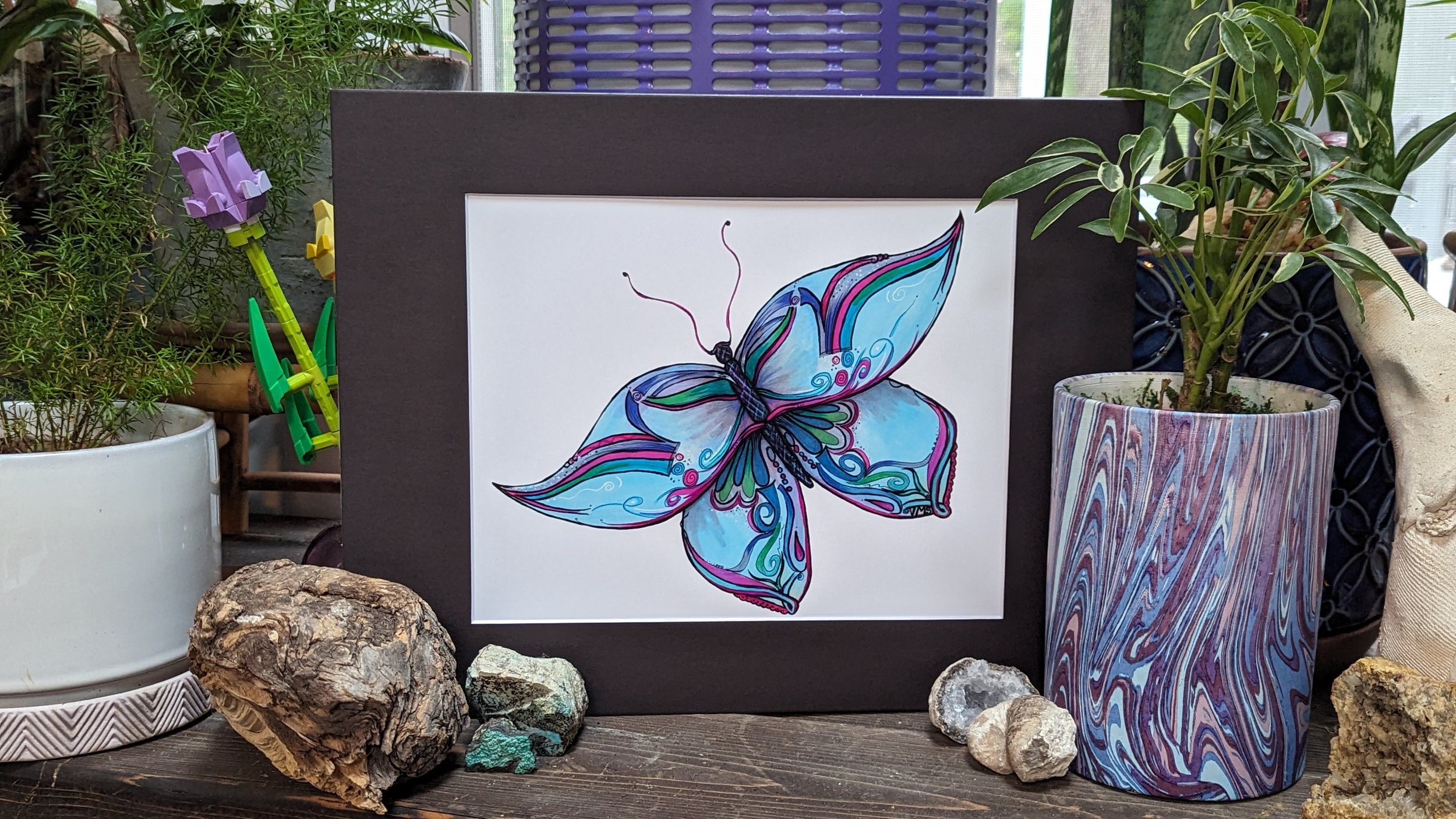 Bashira the Engaging Butterfly