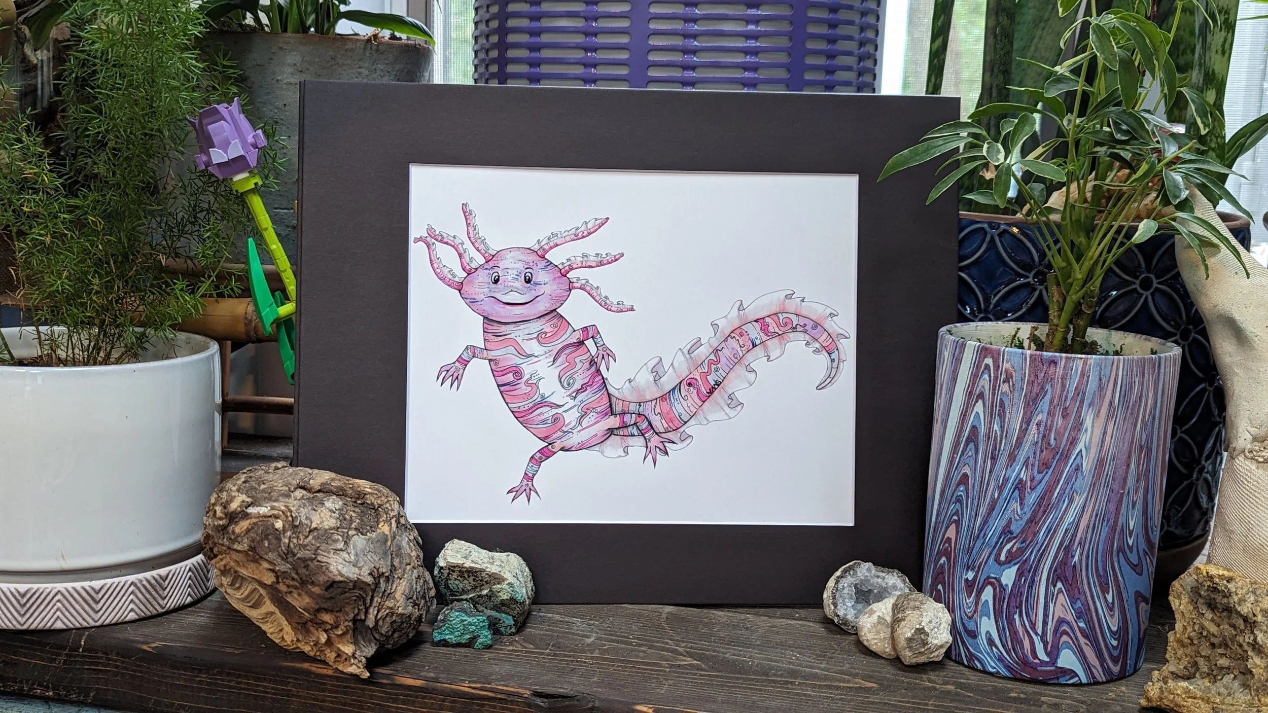 axolotl 8x10.jpg