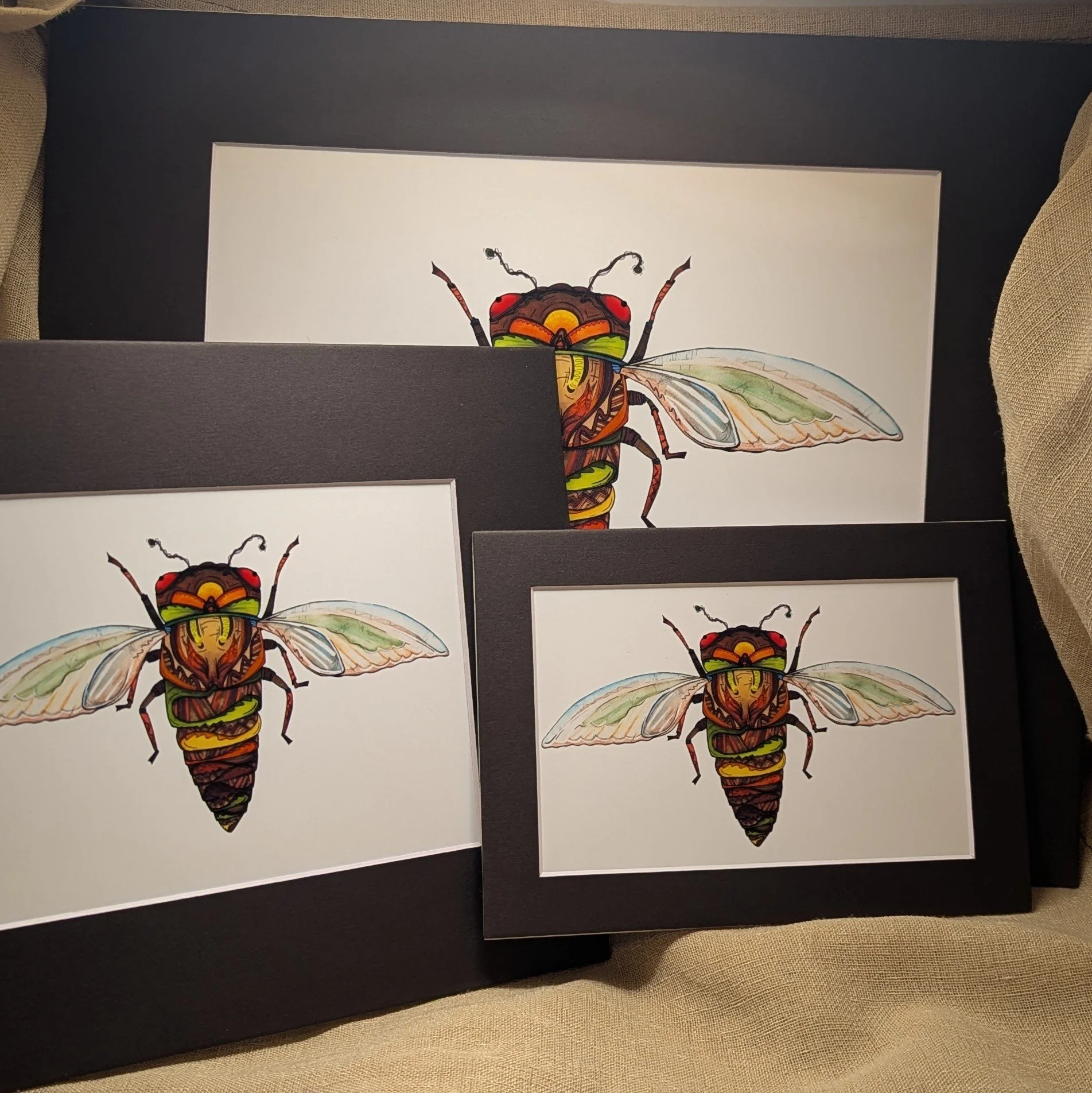 cicada print 3 size.jpg
