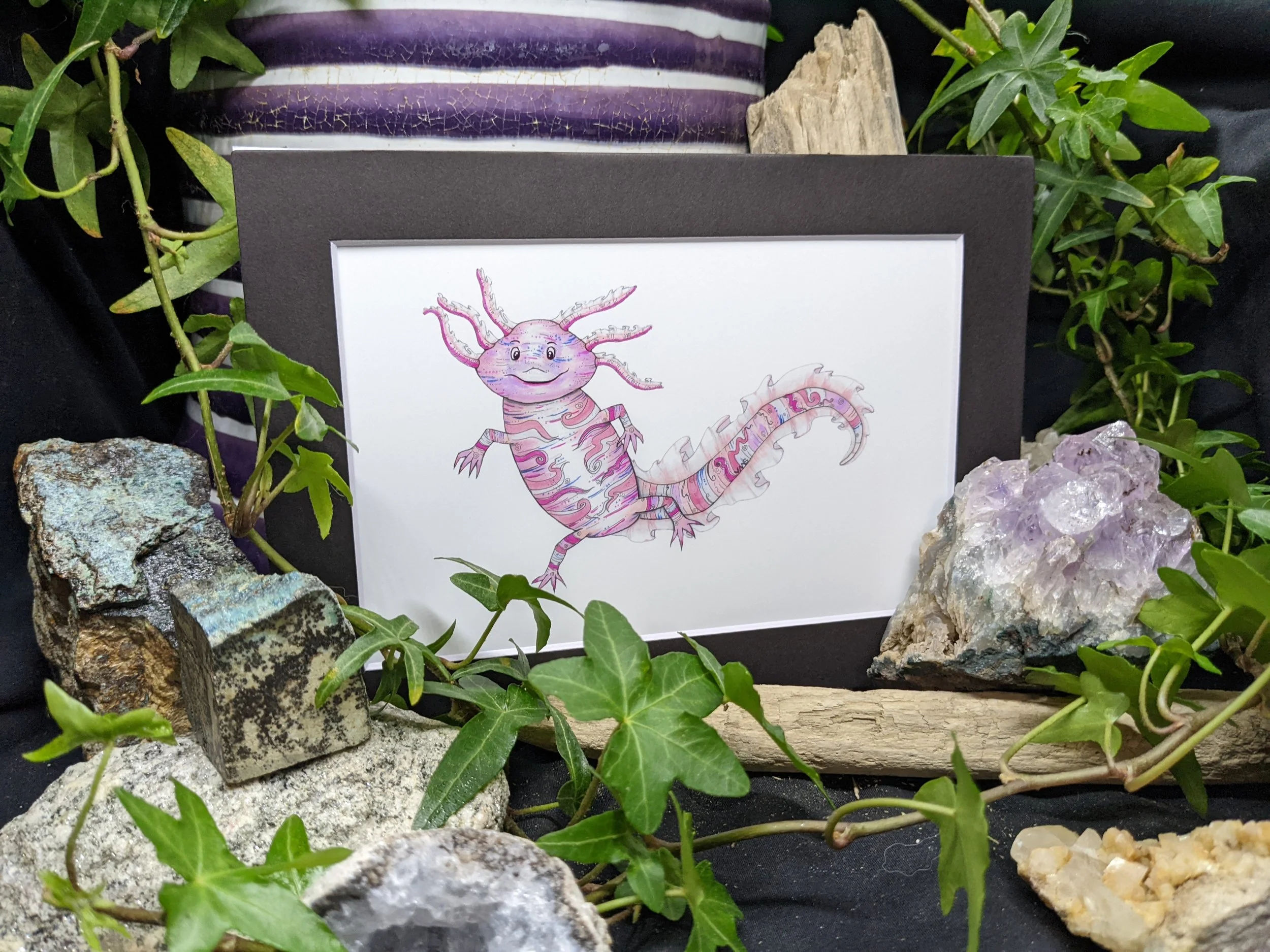axolotl 4x6.jpg
