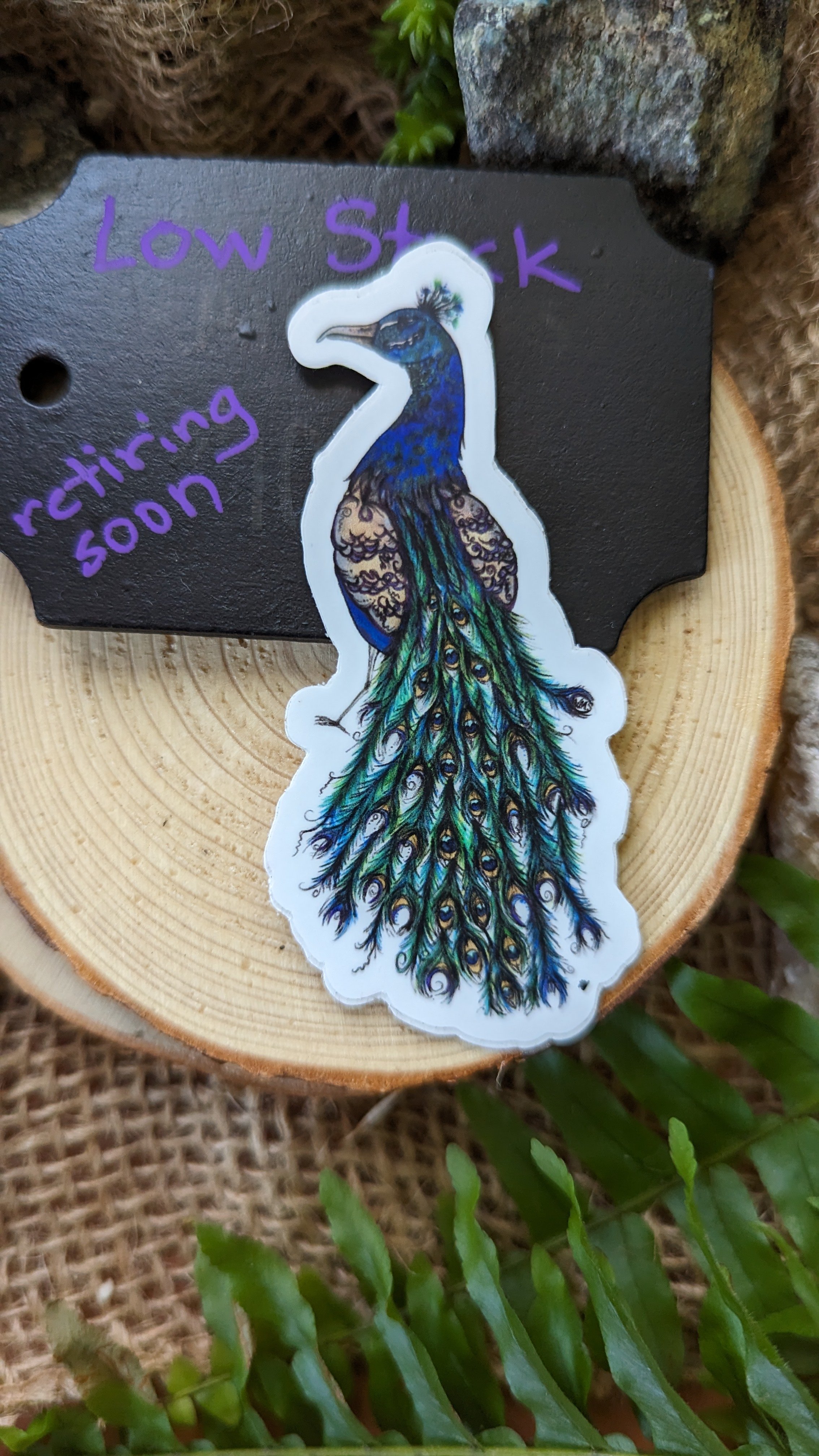 peacock xavion sticker.jpg