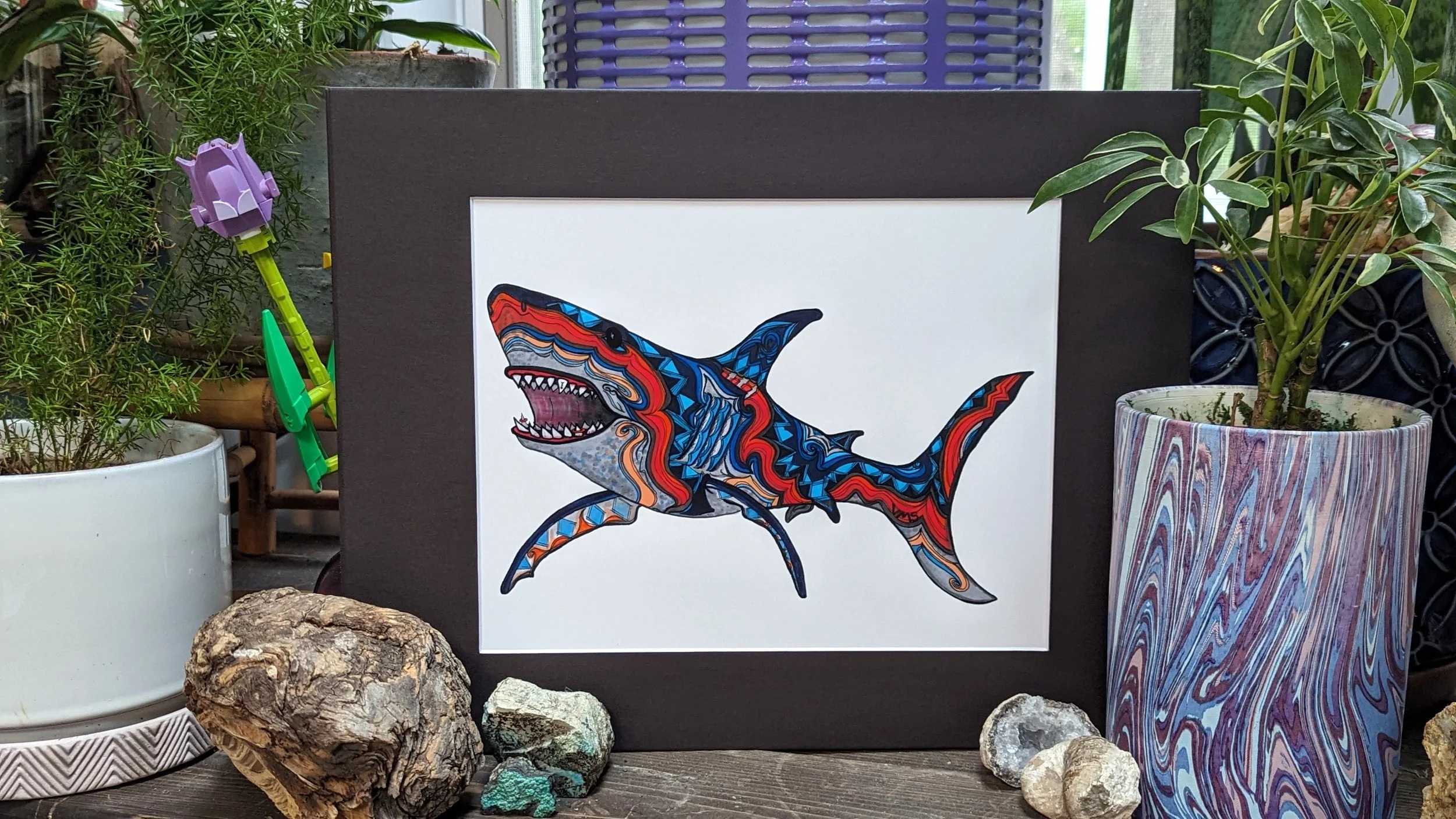shark 8x10.jpg