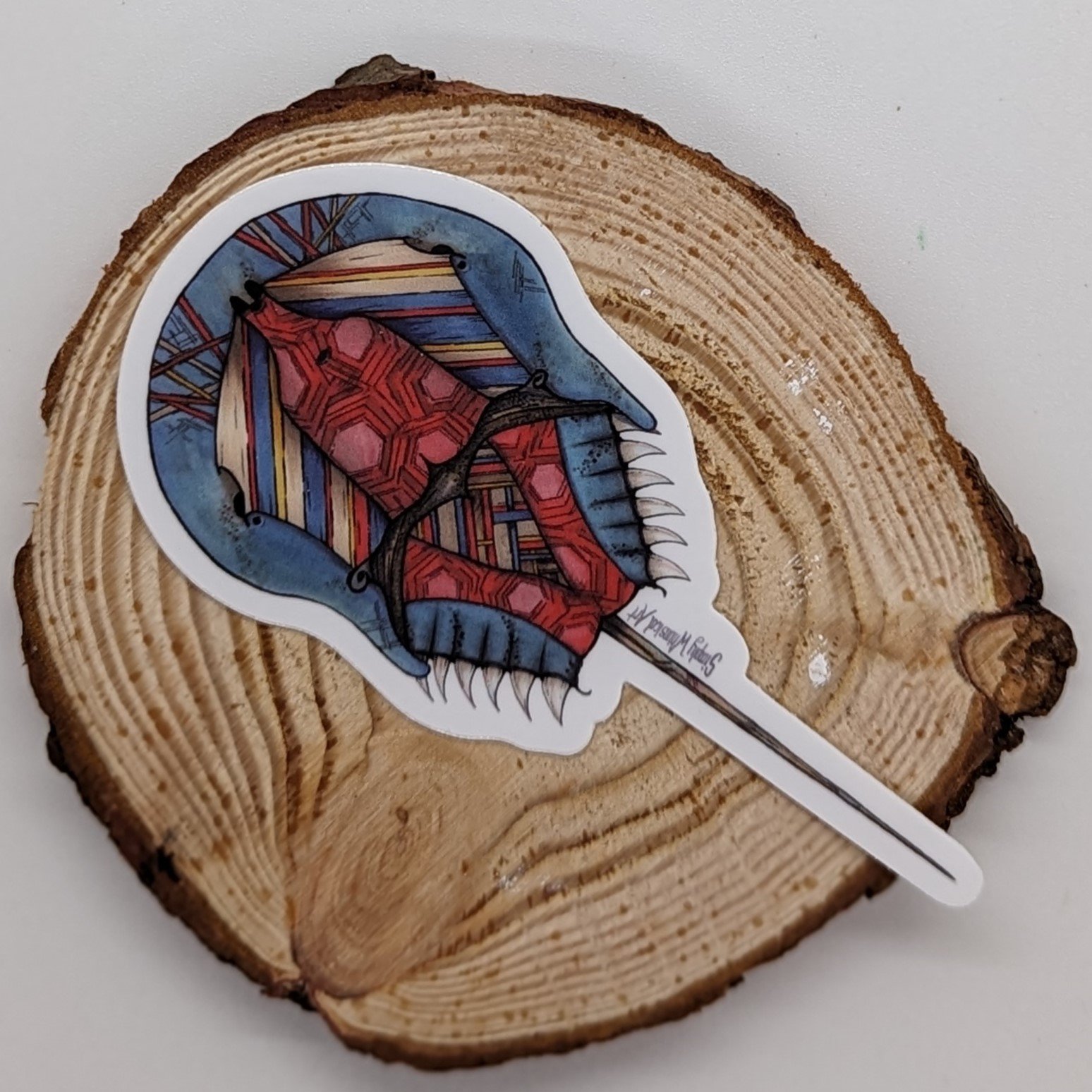 horseshoecrab murphy sticker.jpg