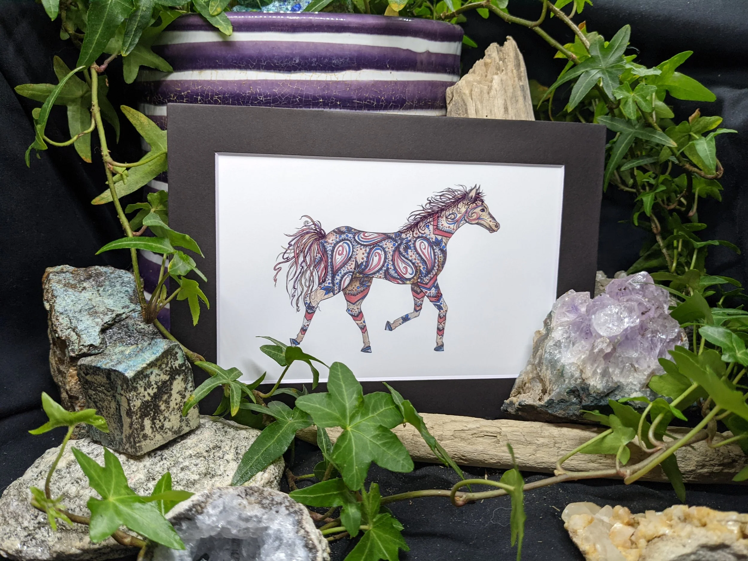 Pippa the Spirited Horse