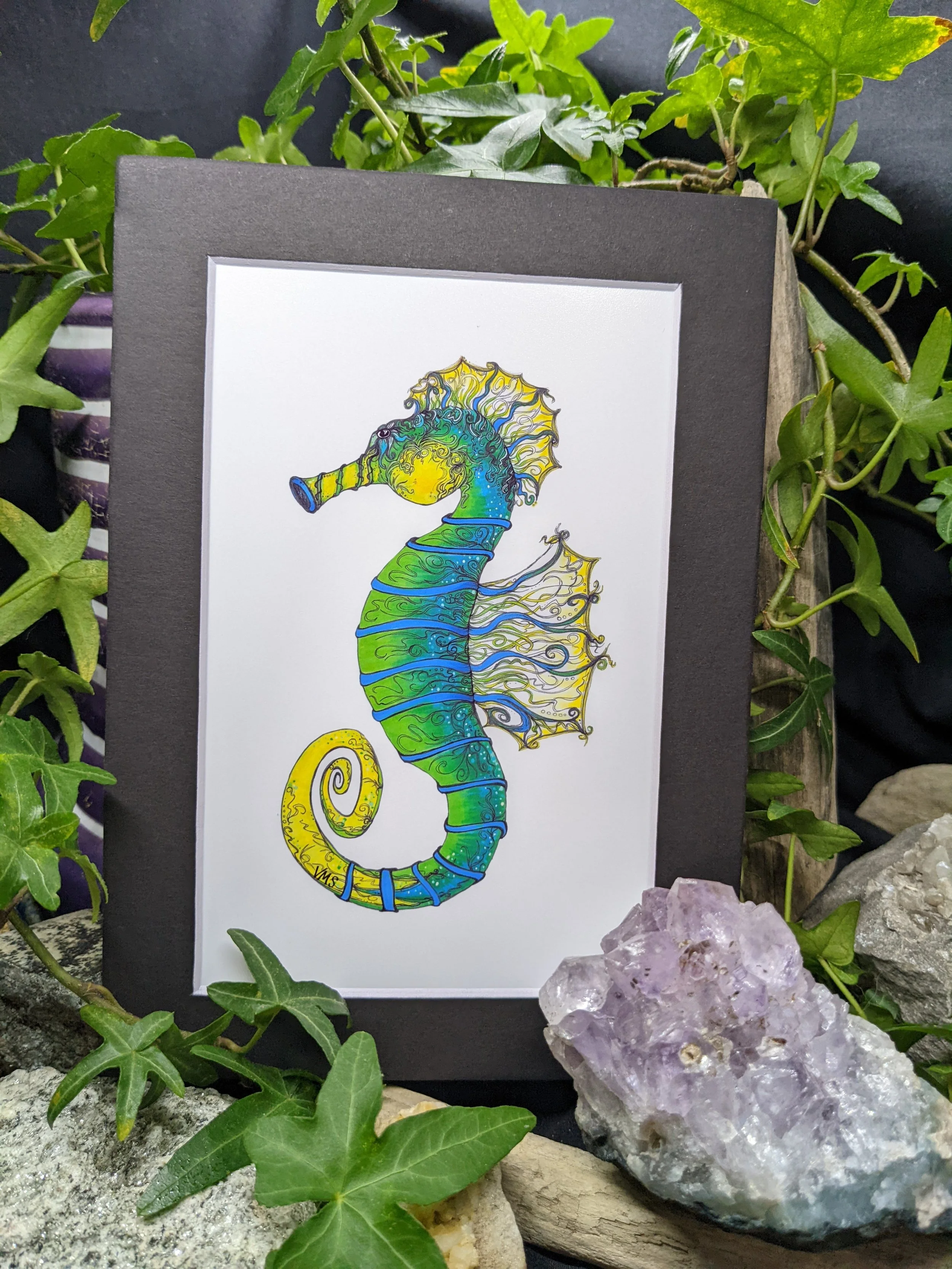 Felix the Lucky Seahorse