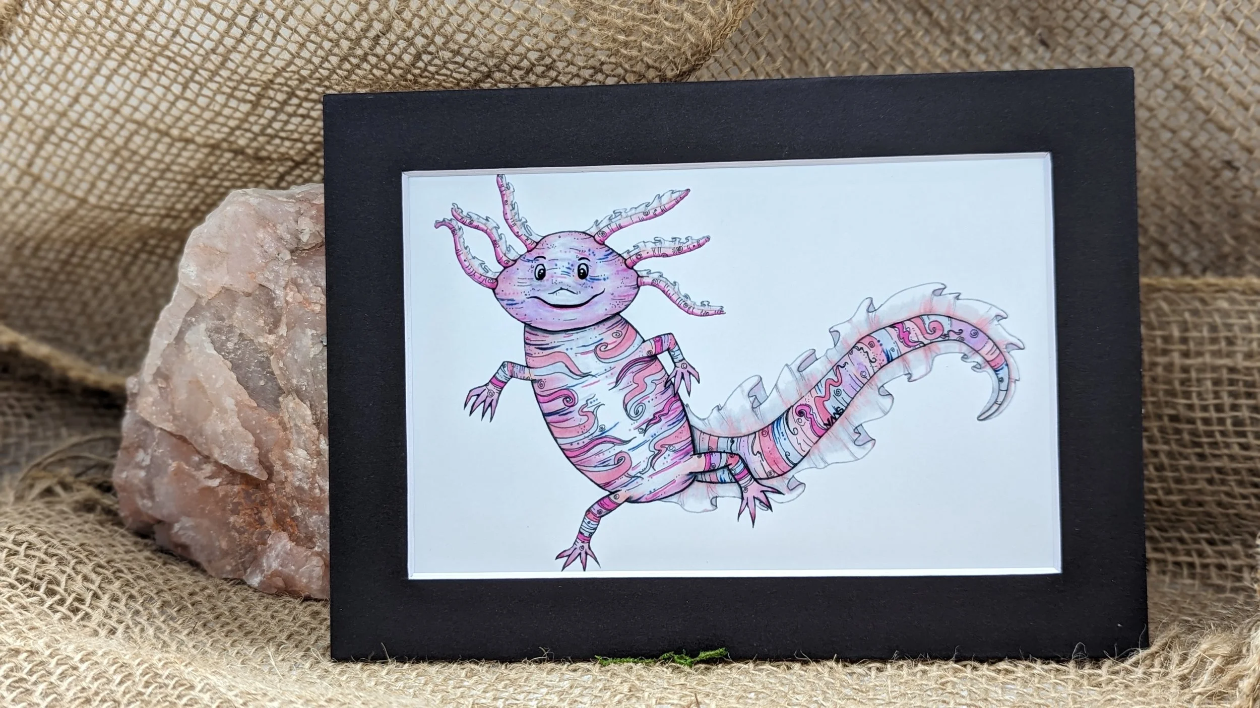 axolotl.jpg